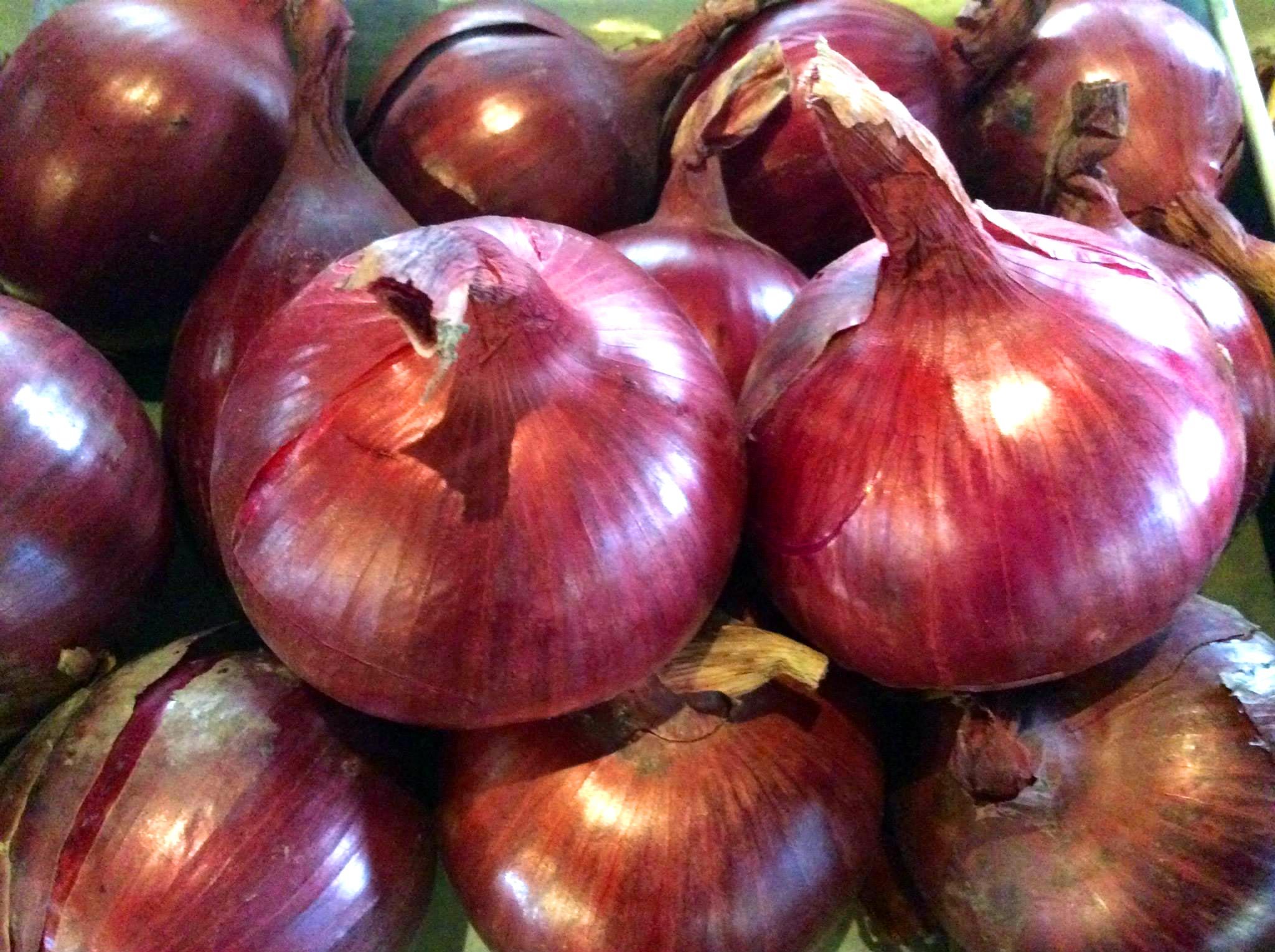 red_onions.jpg