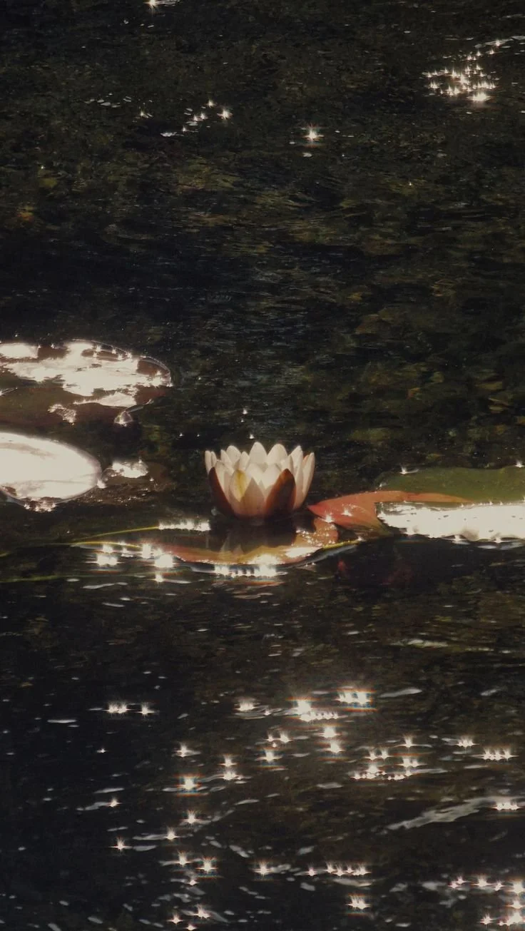 reflections in “the gray”: alchemy, grace, and growth - 8.28