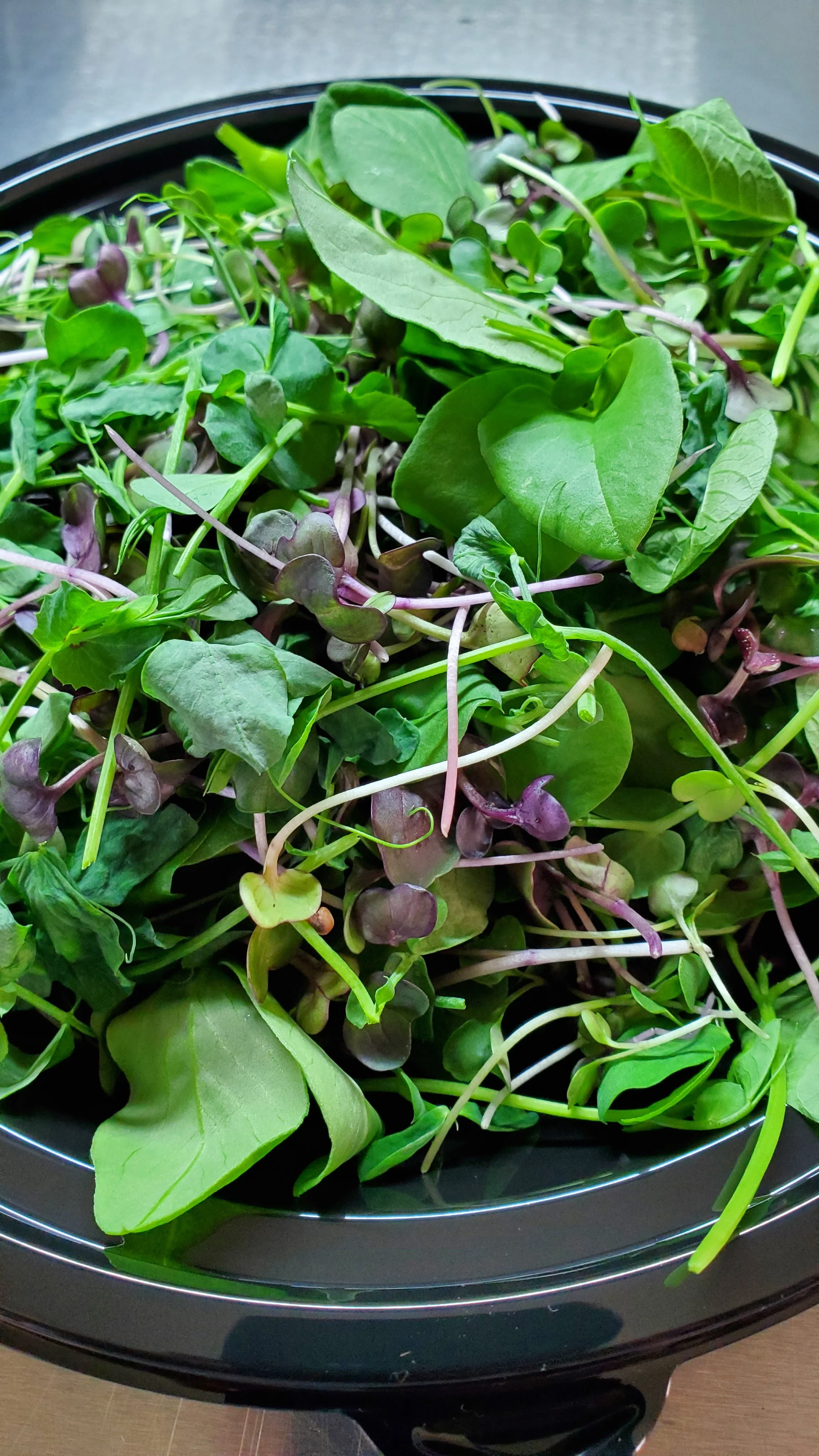 Microgreen Salad_7.jpg