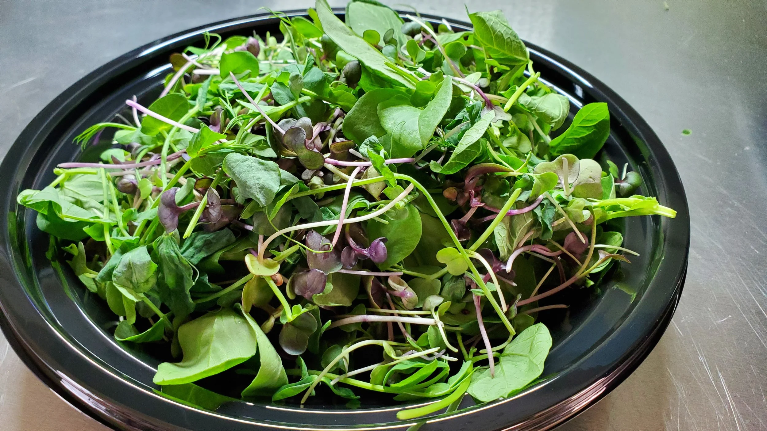 Microgreen Salad_6.jpg