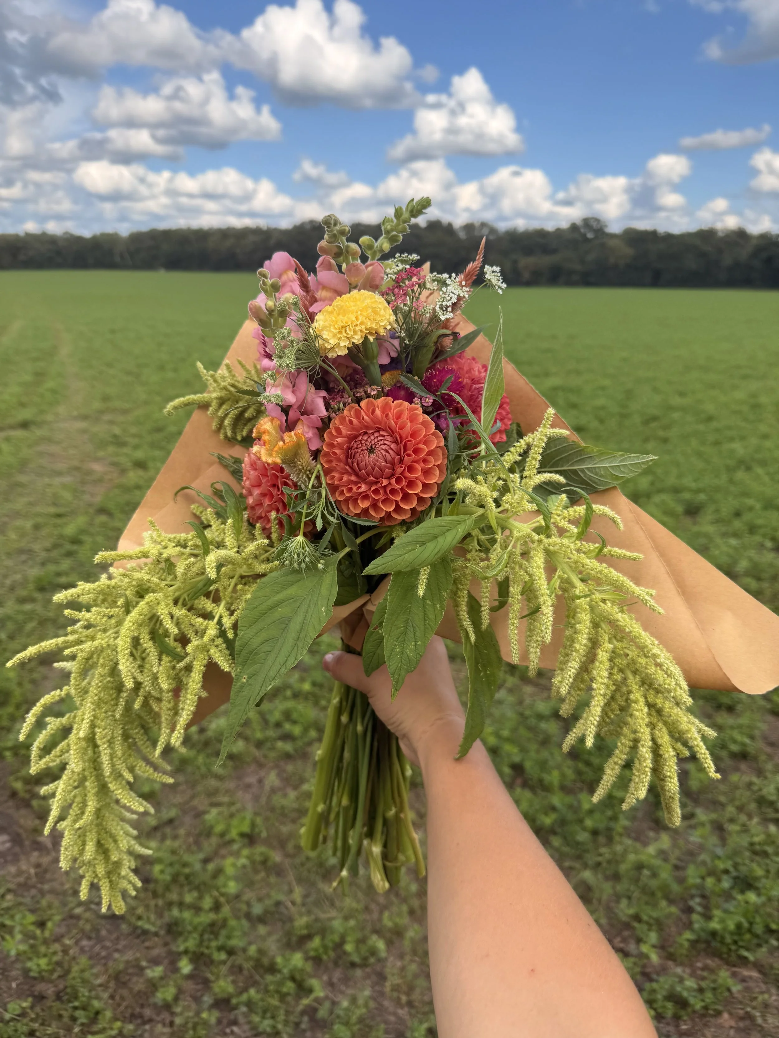 U-Pick @ Fields of Plenty 