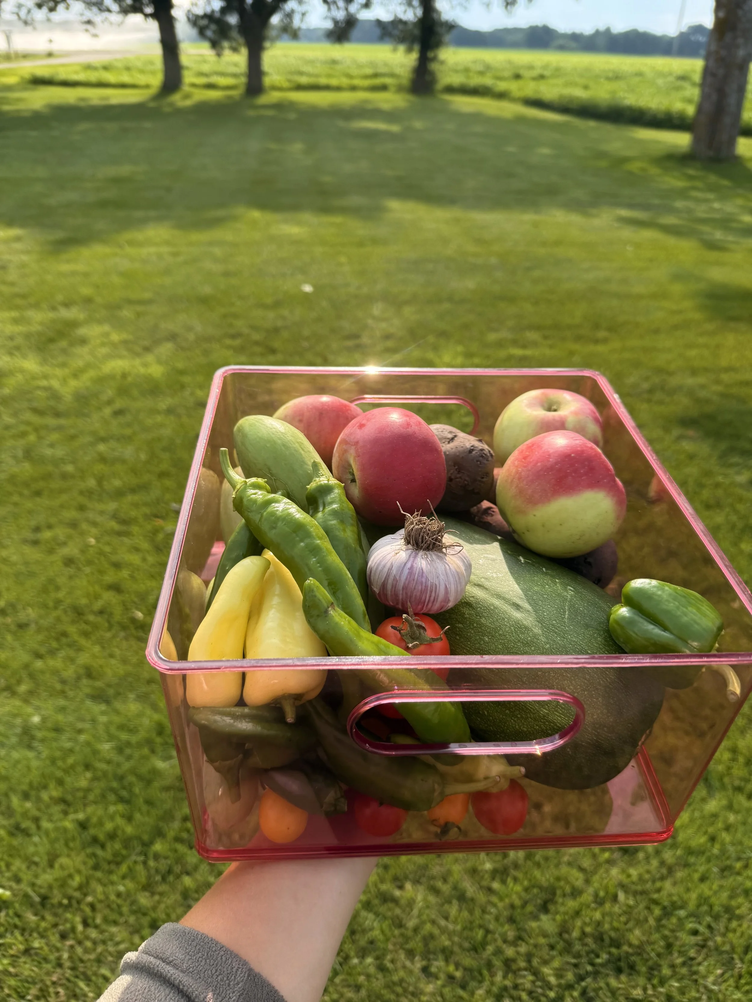 Plenty- Harvest Share