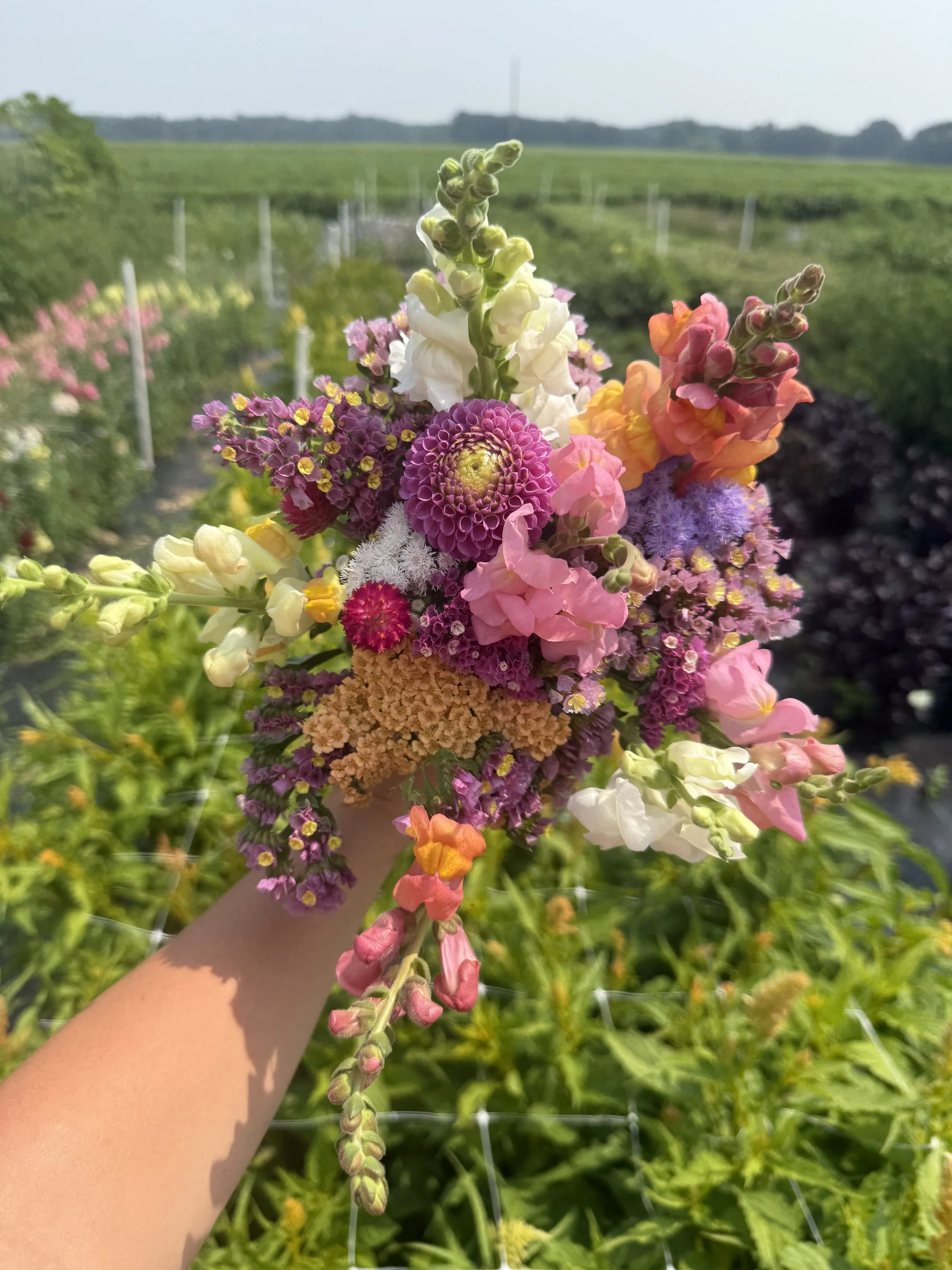 U-Pick in the Fields of Plenty