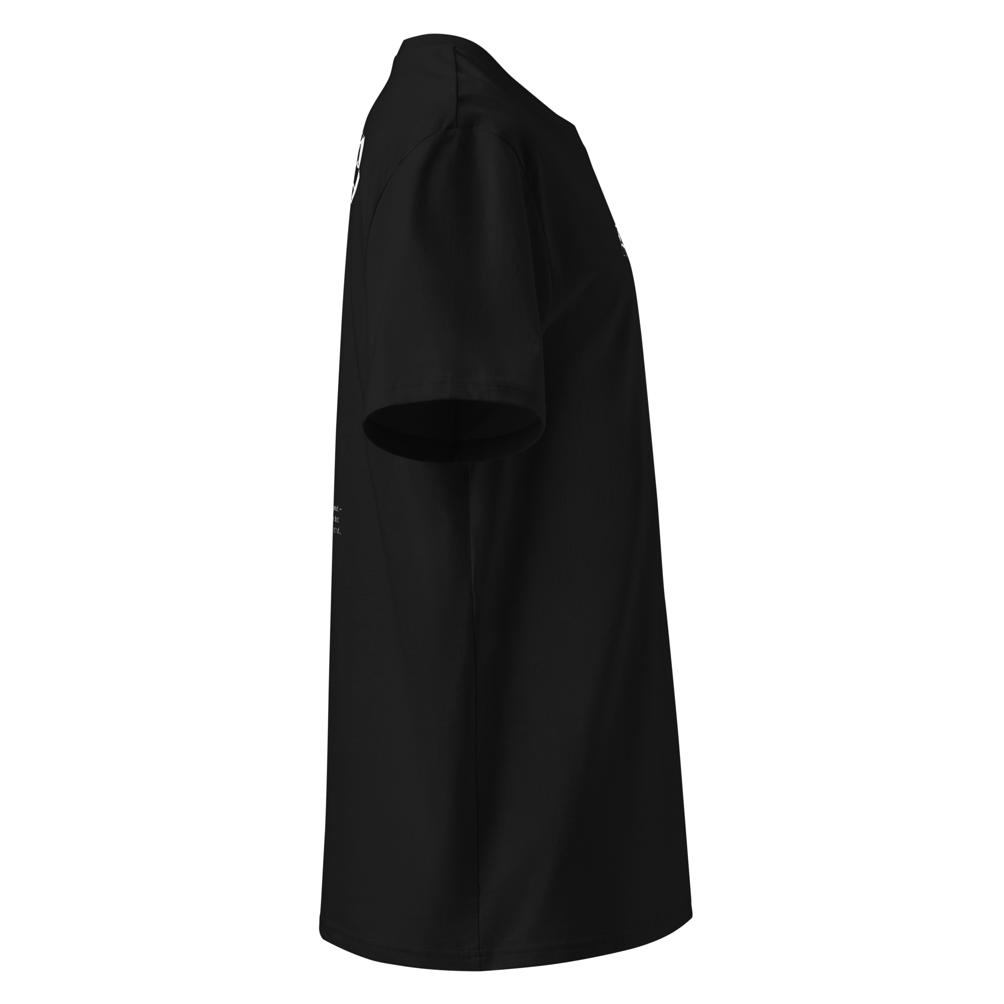 unisex-organic-ribbed-neck-creator-2.0-t-shirt-black-right-6a27aad19333d.png