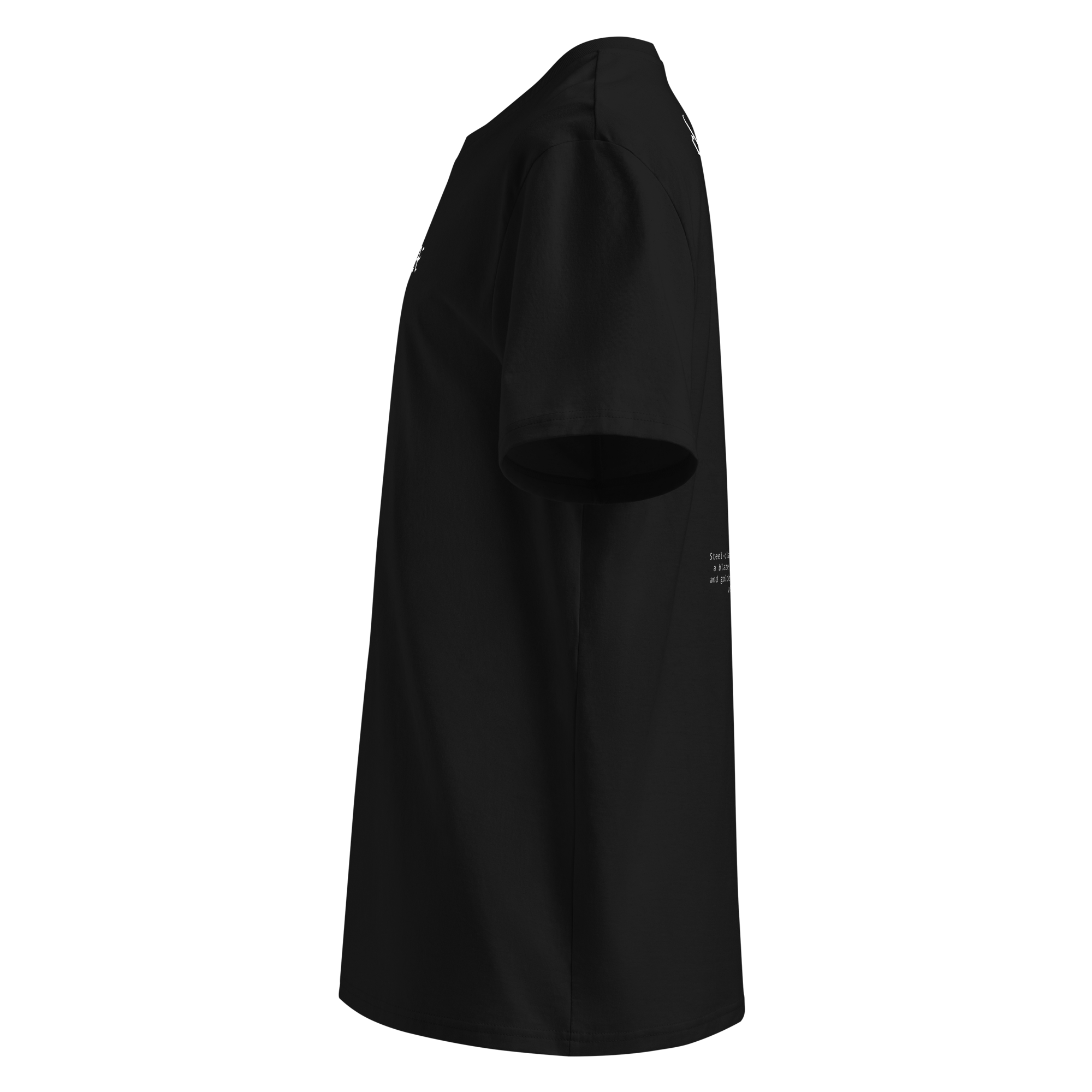unisex-organic-ribbed-neck-creator-2.0-t-shirt-black-left-6a27aad192dea.png