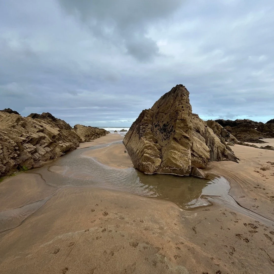 Not a beach walk goes by without something catching your eye and taking your interest:
🪨 Rock formations
🪸 Sea pool habitants
⏳ How recent tides have altered the sands
⚓ And have you walked over to Northcott from Crooklets Beach to see the shipwrec