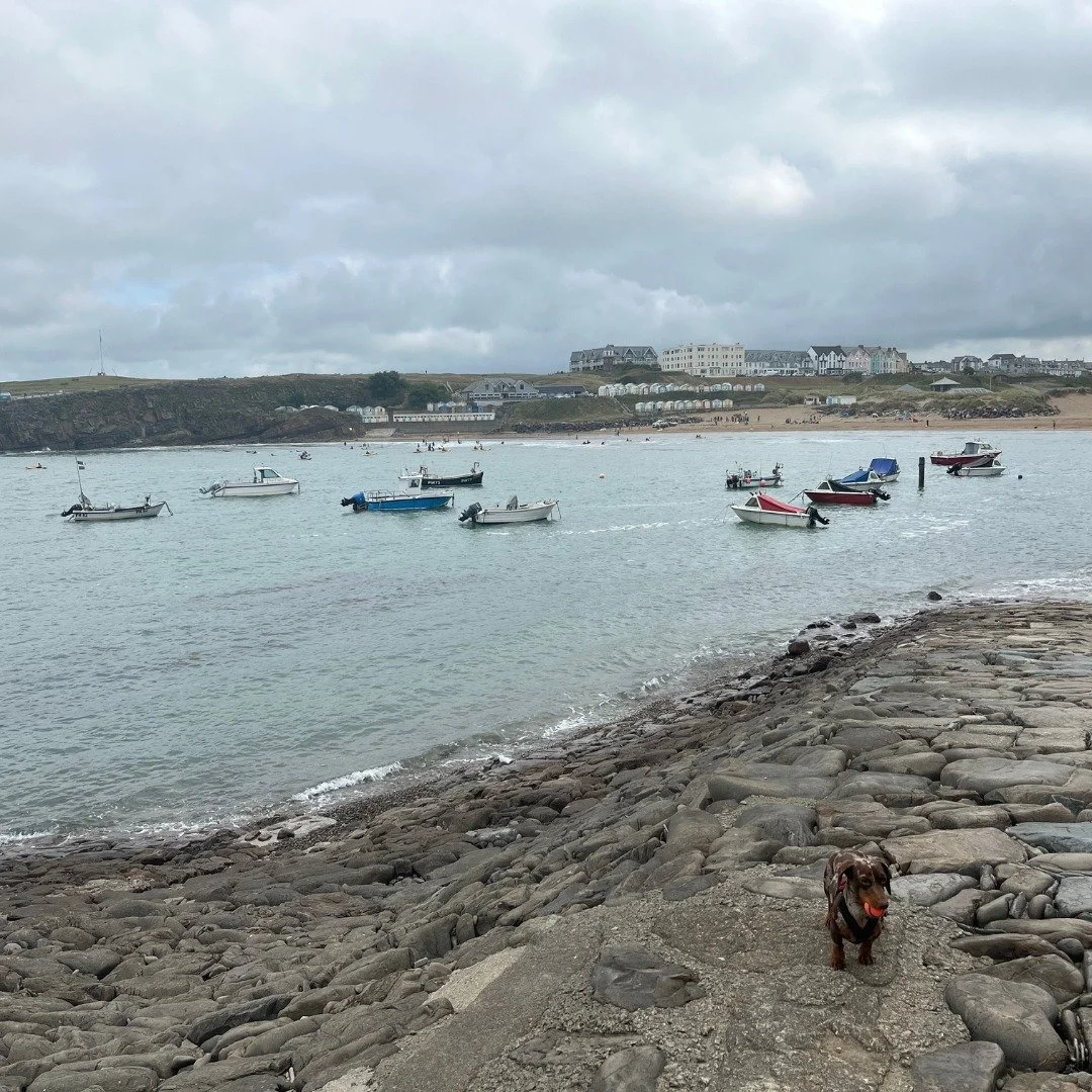 Taking a breather before the Christmas chaos 💙
One of our favourite spots in Bude, watching the fishing boats bob up and down while looking back over to bude from the breakwater 🚤
We hope you're managing to keep any festive stress at bay!
#bude #br