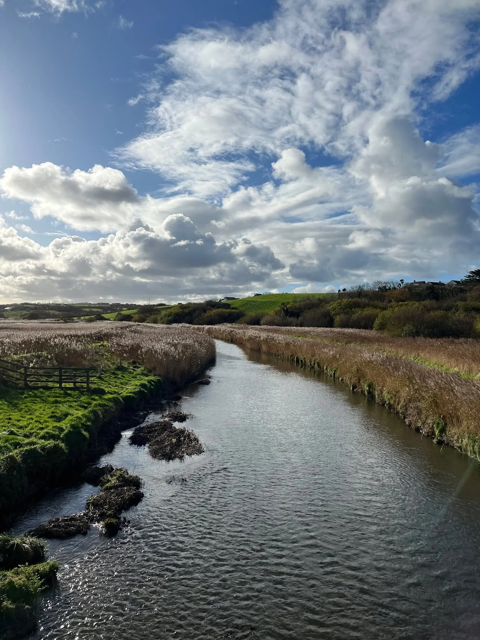 We wonder if the local wildlife can sense a storm brewing and prepare their homes accordingly too...
The poor ducks! 🦆
How's everyone else doing this morning?
#StormGoretti