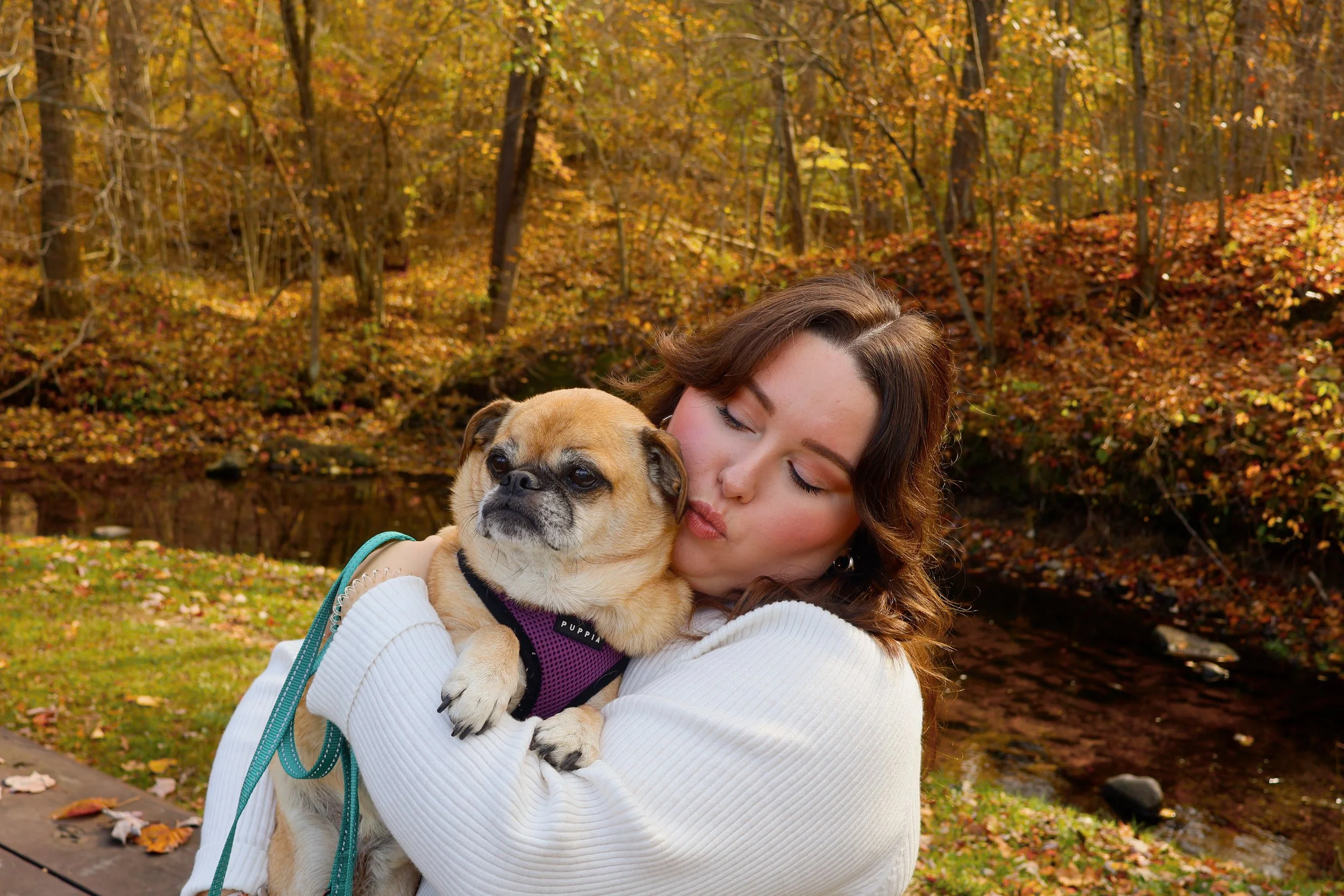 A woman hugging a small tan dog with a black collar outdoors in an autumn setting with colorful fall trees and leaves.