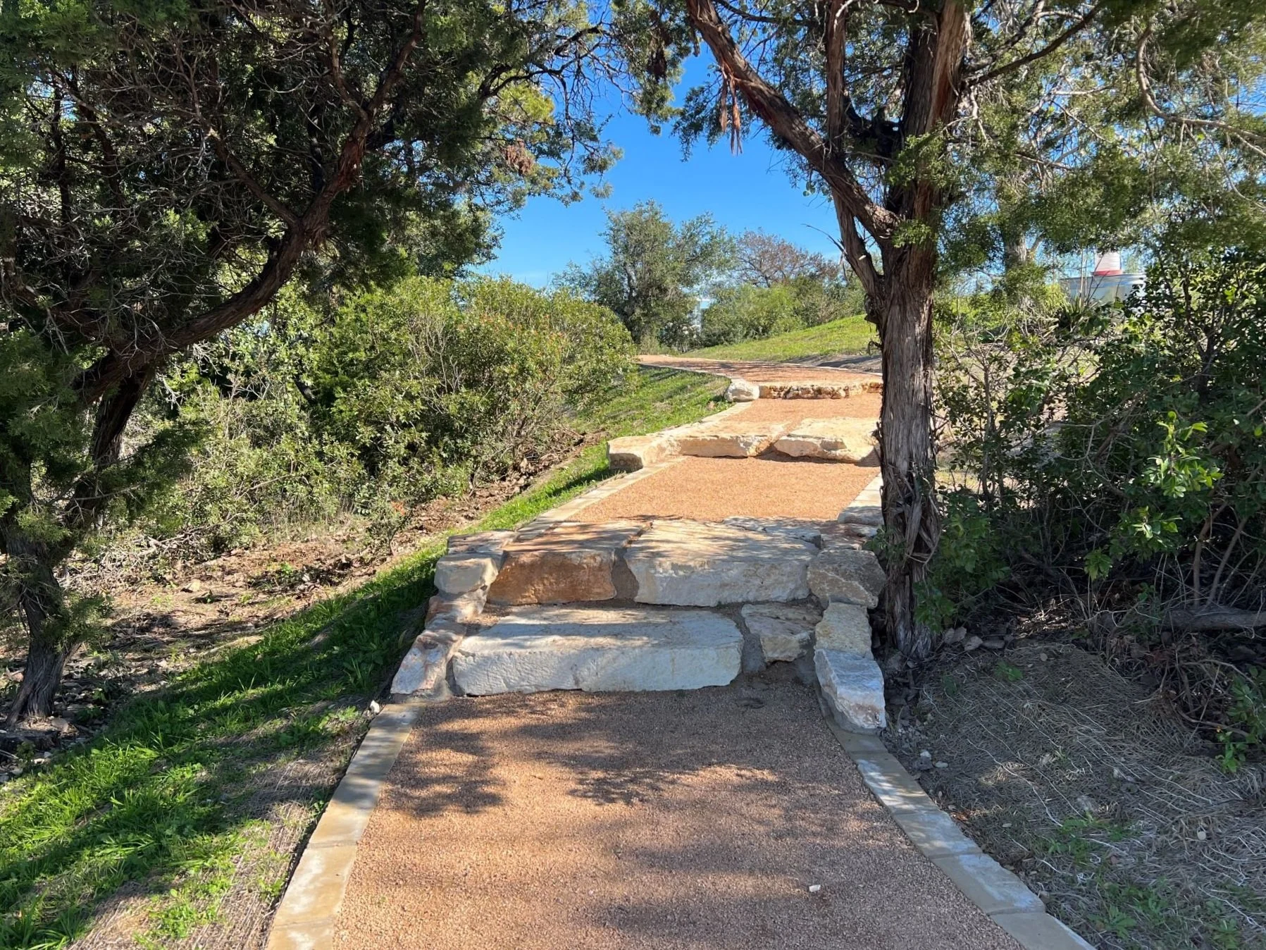 Stone pathway with steps in a park surrounded by trees and bushes, blue sky background