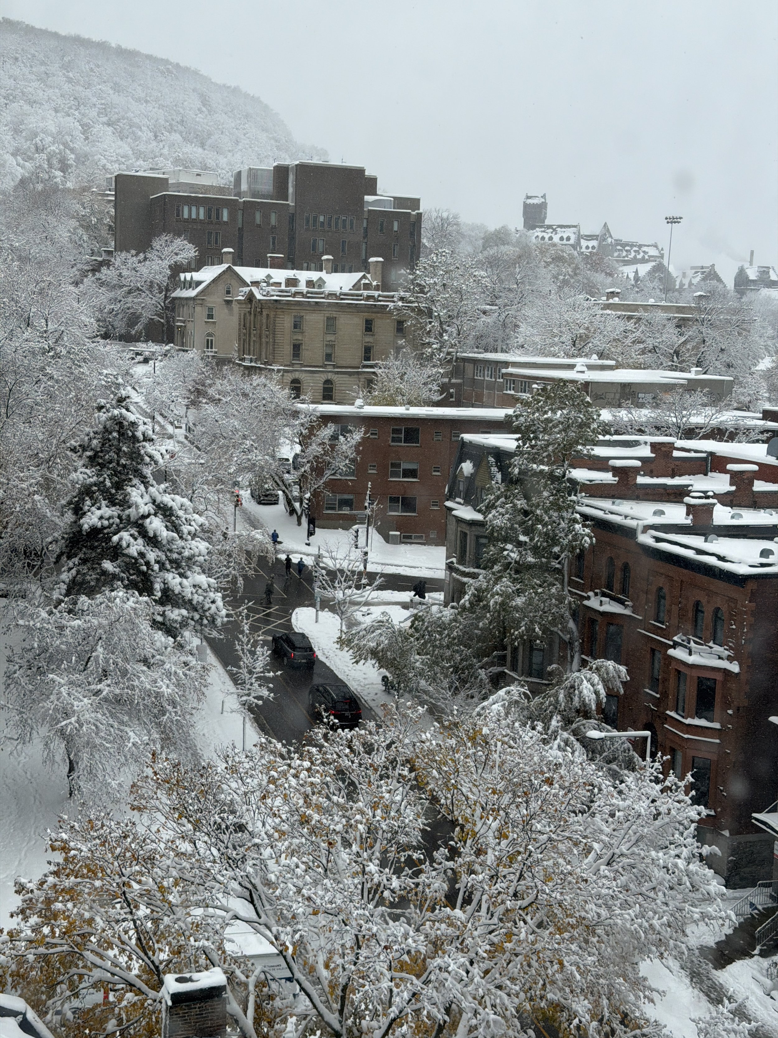 Winter Blues Are Coming! 