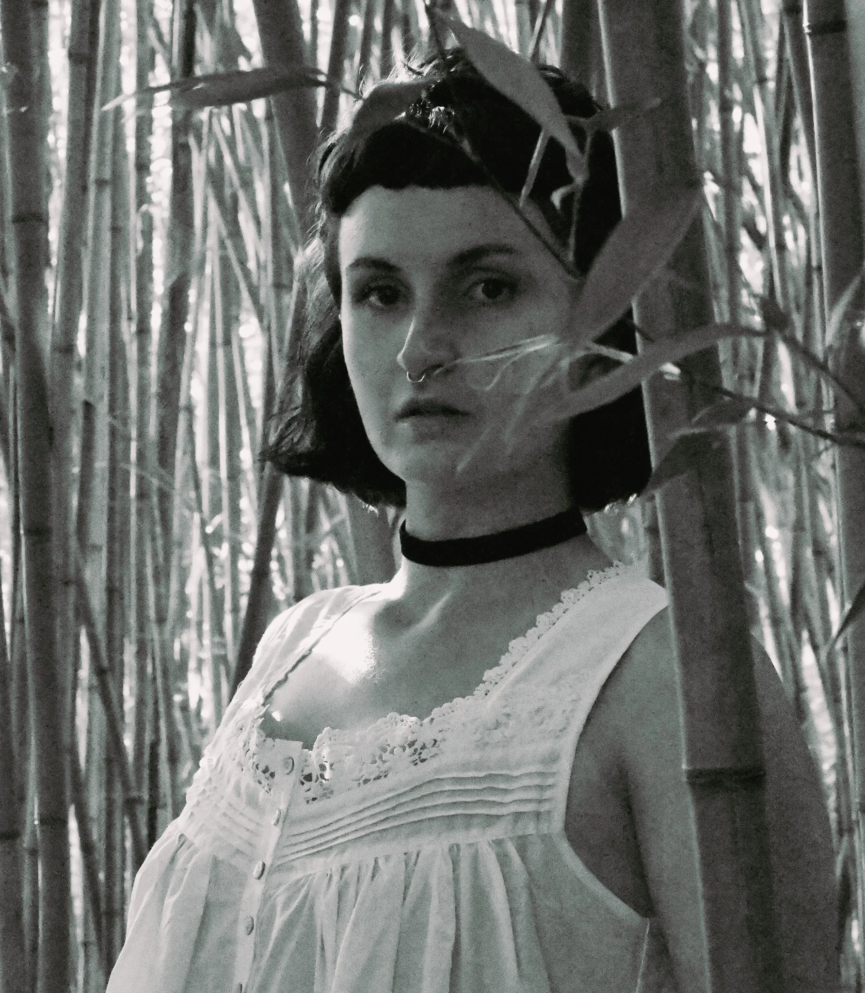 DSC_3204.jpg