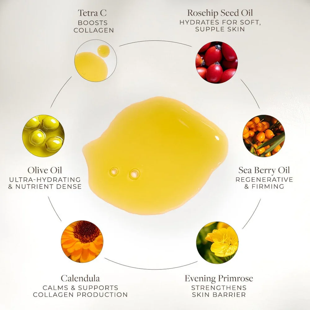 apoterra-vitamin-c-body-oil-ingredients.webp