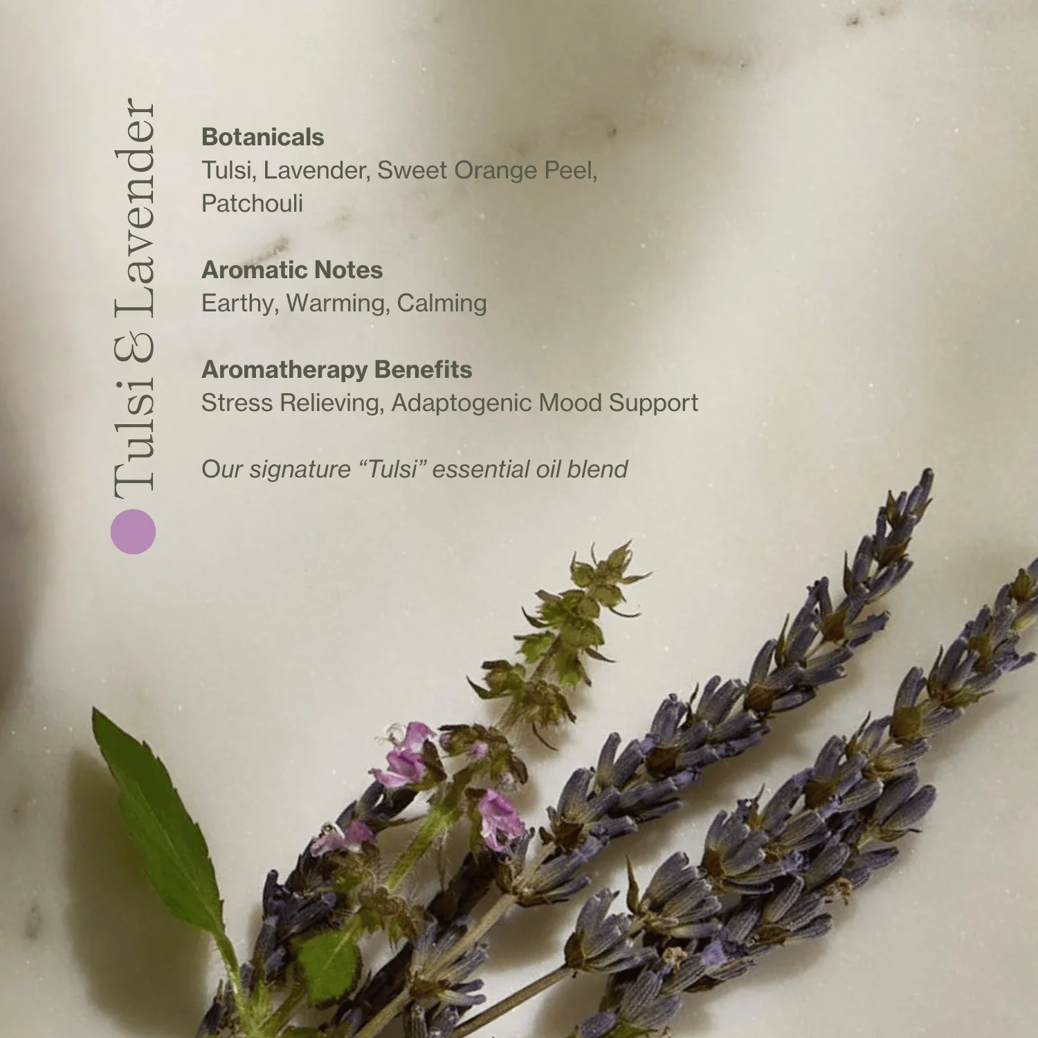 tulsi-and-lavender-aromatherapy-benefits.webp