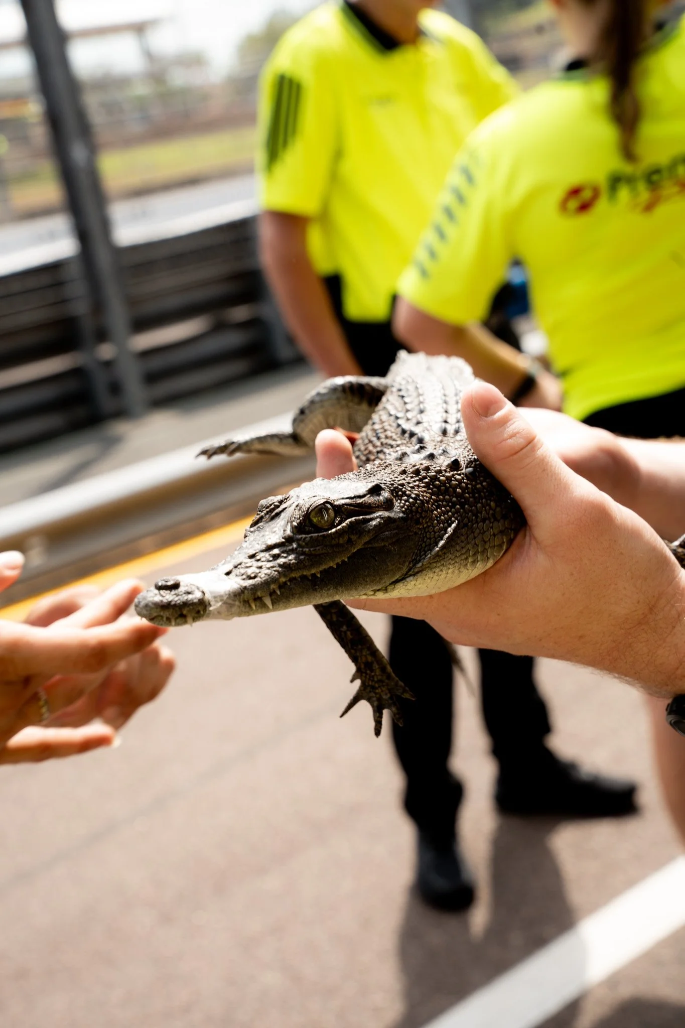 2026 Darwin Triple Crown: Bush Tucker with Erebus
