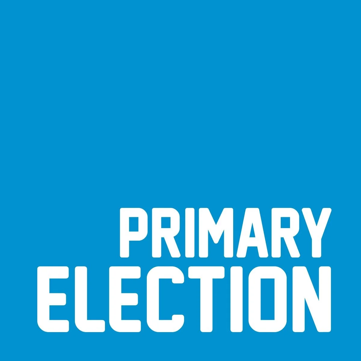 Primary Election Day
