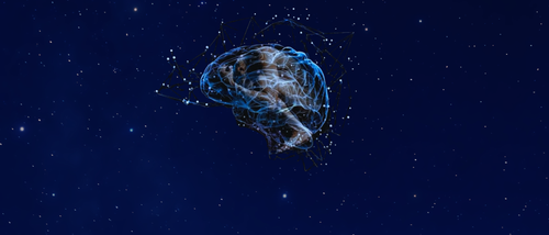 Brain Peace Science Foundation