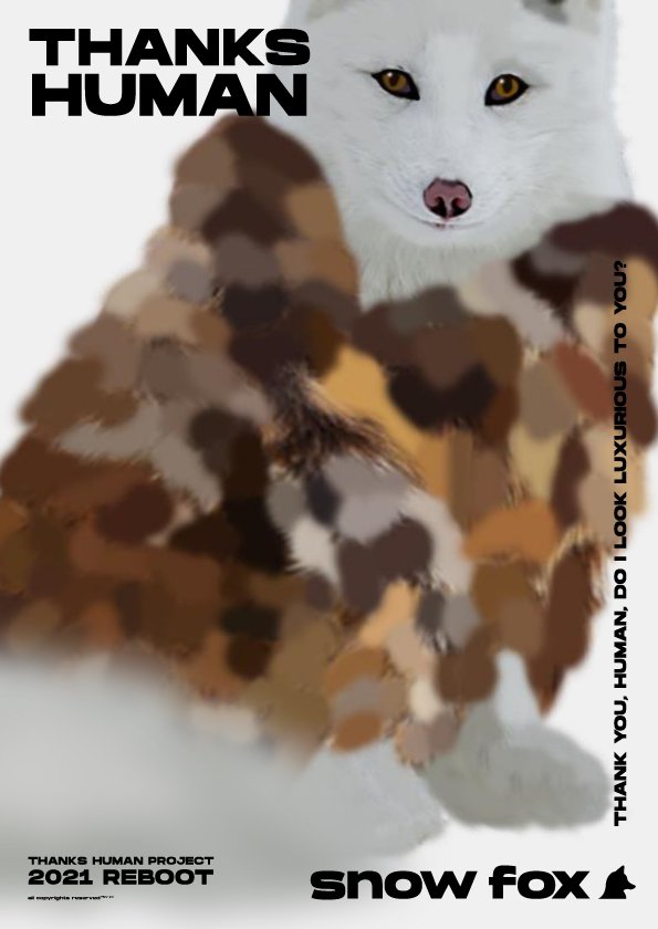 “I am a snow fox. Thank you, Human, do I look luxurious to you?”
Snow foxes, once hunted for their fur, now roam in a world where discarded fashion items, like old fur coats, are left behind. This stark irony highlights the disconnect between the hum