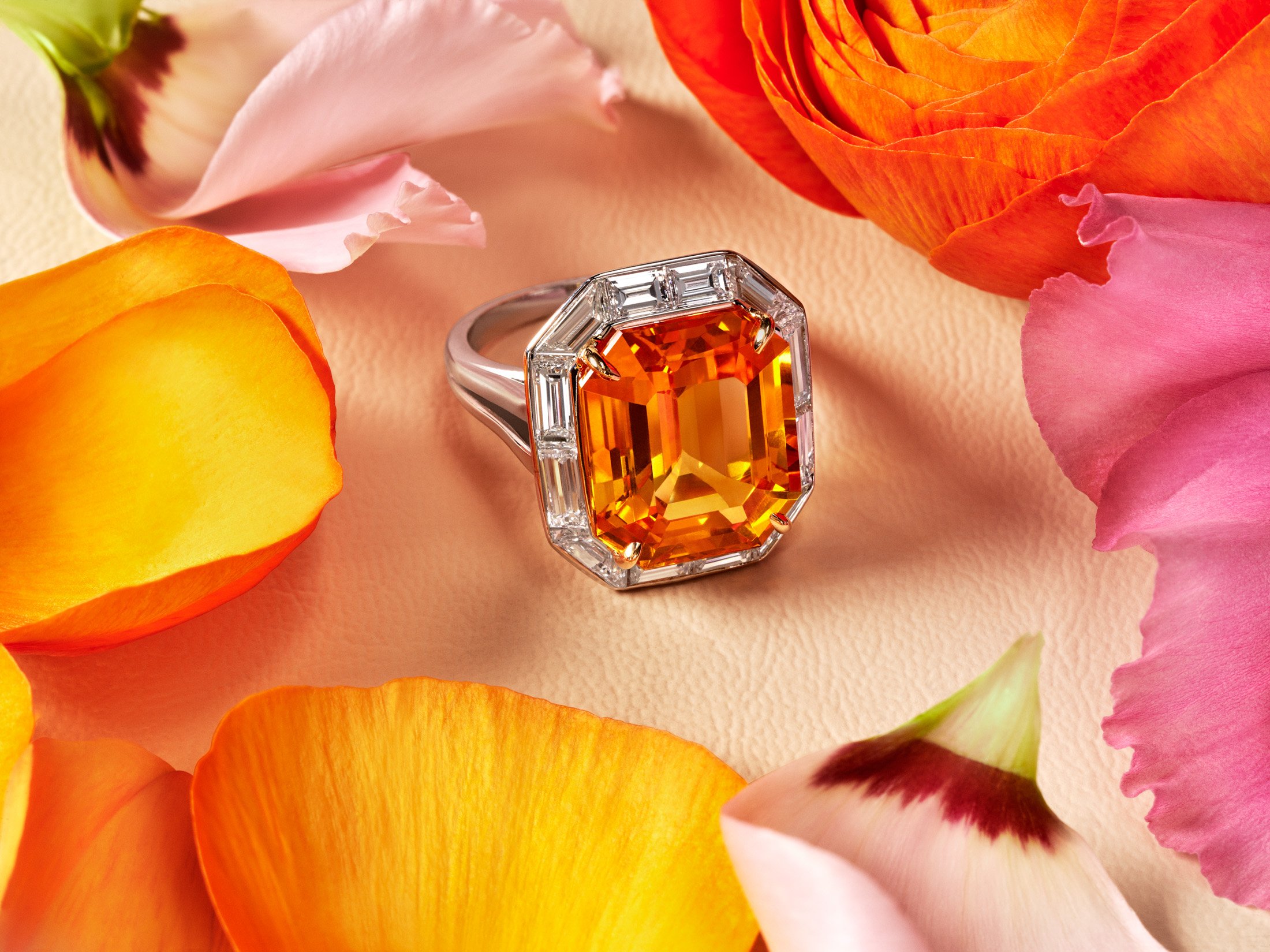 Spring_Ring_1809_240213.jpeg