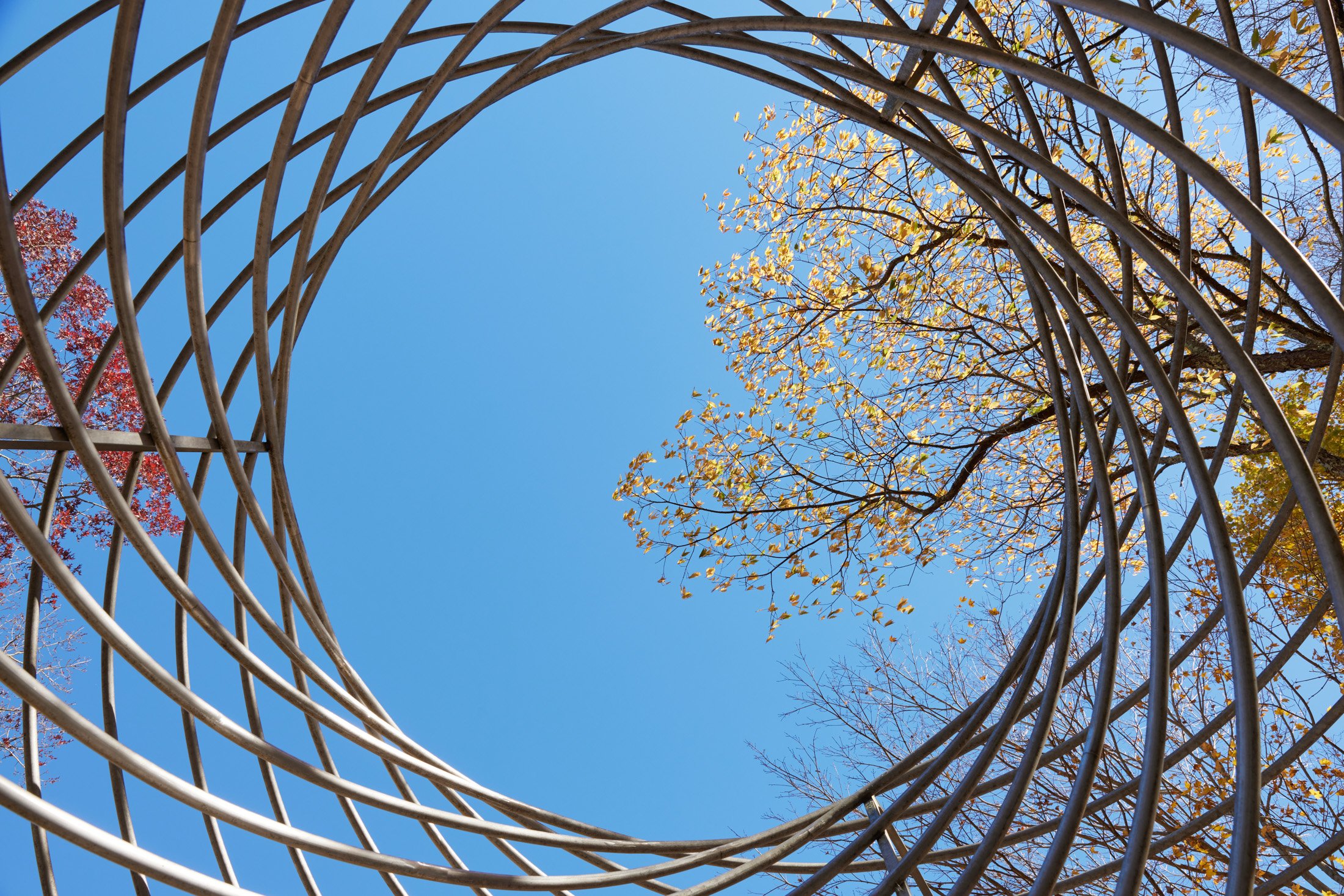 Mallin Collection & Buckhorn Sculpture Park - Photographer: Tim Williams