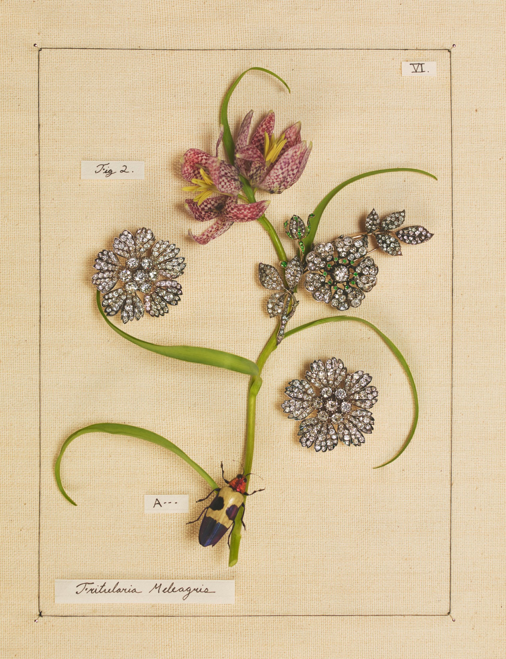 Photography Direction for the integrated Sotheby's selling exhibition campaign, tracing the evolution of the flower as a design motif in jewelry from the 19th century to the present. My creative direction for the photography extended throughout the d