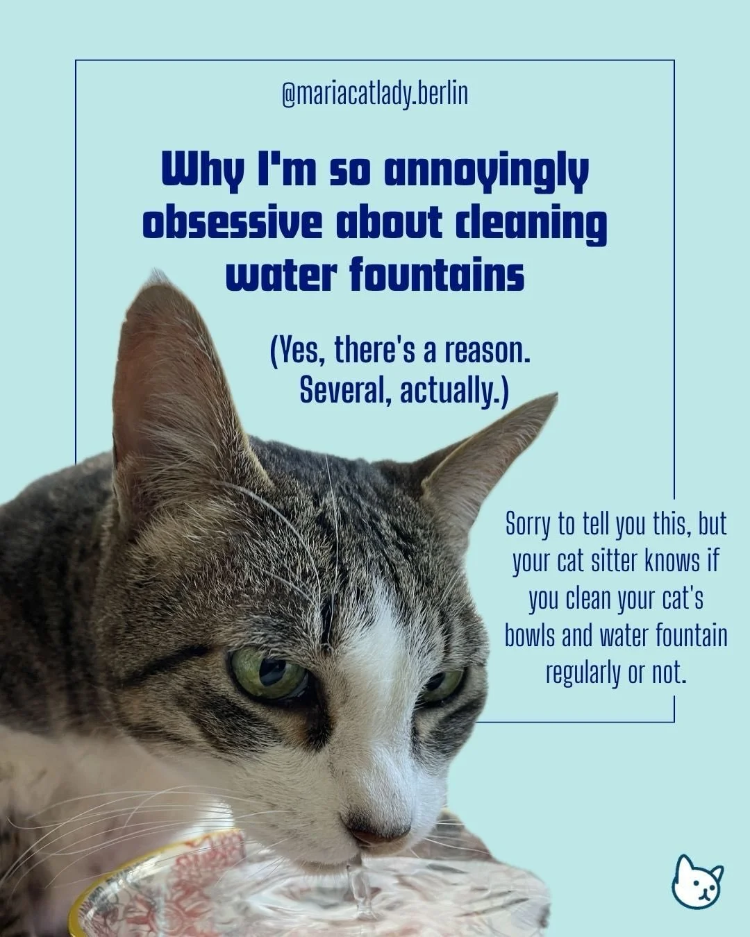 I know, I know. I&rsquo;m that catsitter who won&rsquo;t stop talking about water fountain cleaning. 😄

But hear me out: there&rsquo;s a reason I&rsquo;m so picky about this. Cats already don&rsquo;t drink much water by nature, so when their fountai