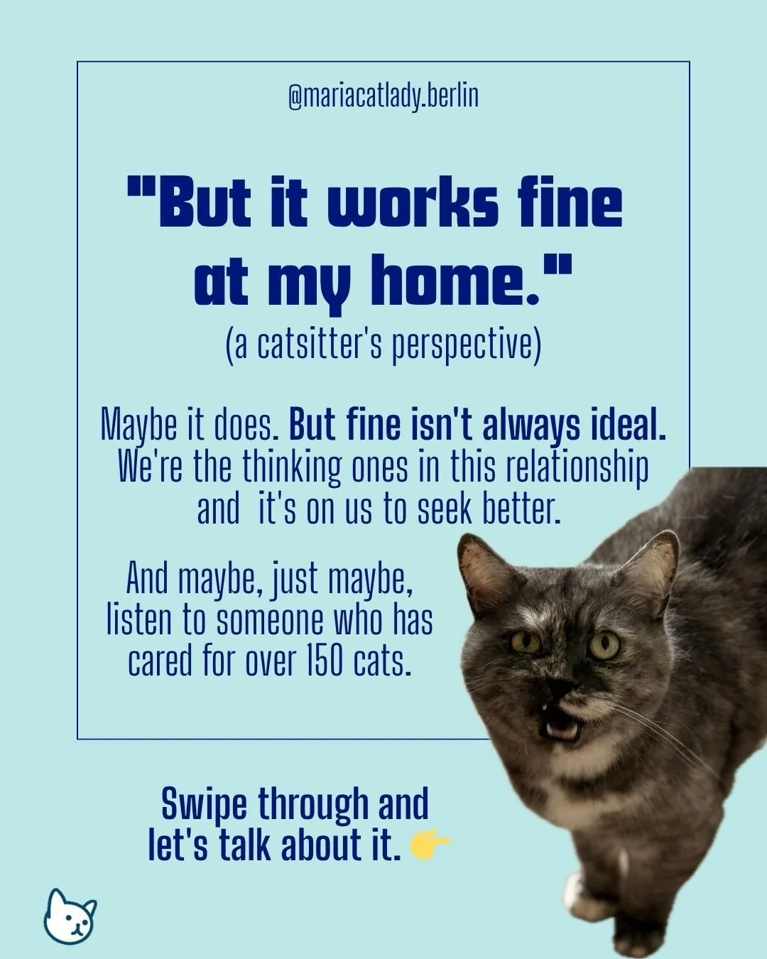 After visiting over 150 cats, I&rsquo;ve heard it all.
&ldquo;She&rsquo;s always eaten dry food only.&rdquo;
&ldquo;He drinks from the toilet, he&rsquo;s fine.&rdquo;
&ldquo;We&rsquo;ve never needed the vet.&rdquo;
&ldquo;This litter works for us.&rd