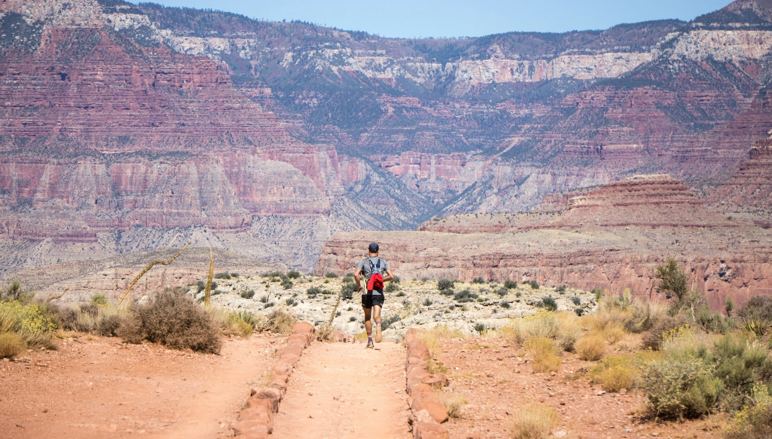 Running with Endurance