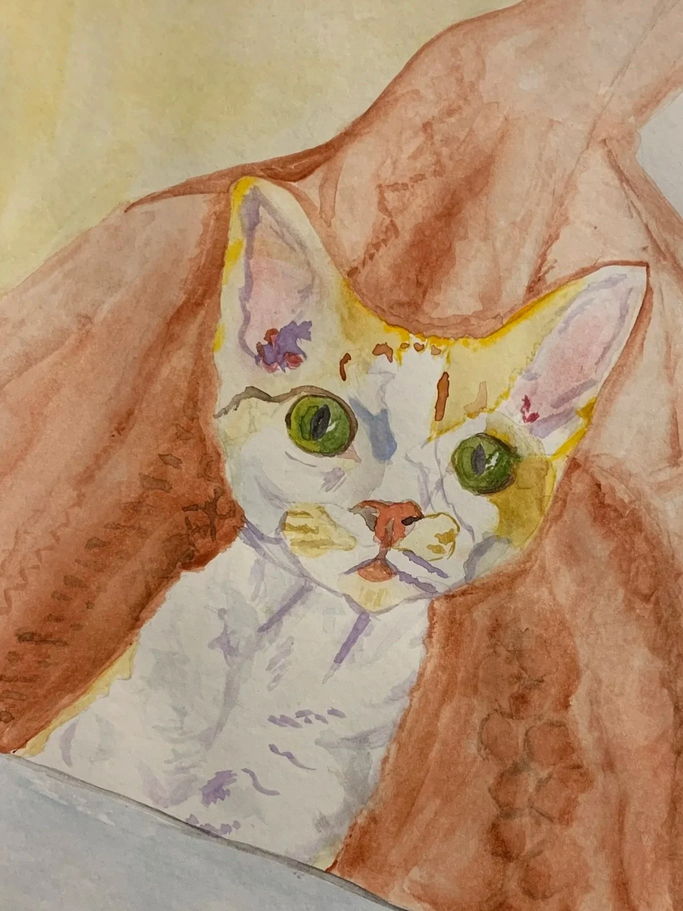 Watercolor painting of a cat wrapped in a blanket, looking directly forward with green eyes