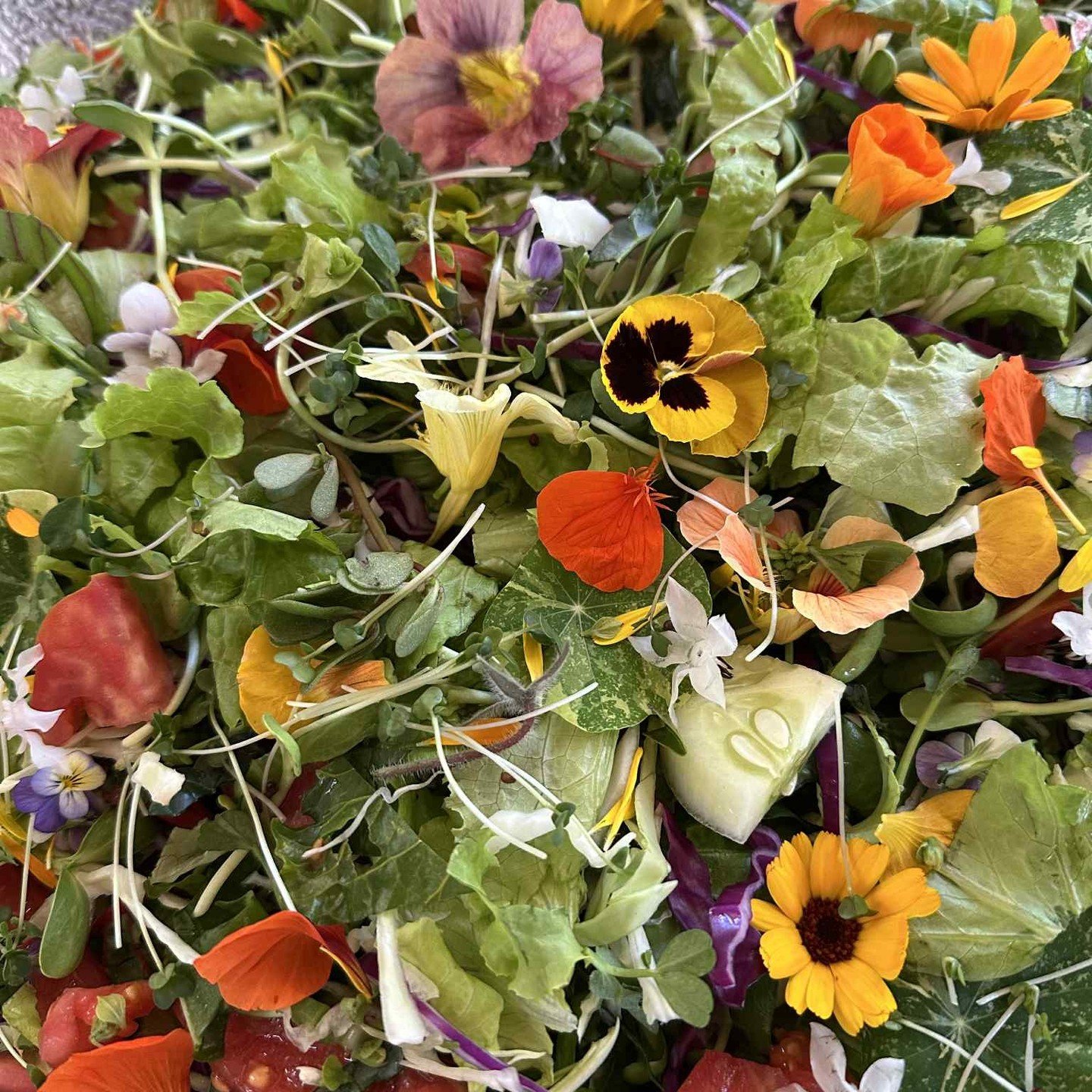 Surrounded by nature, good food, and even better company, it was truly a Garden to Plate experience. We&rsquo;re already dreaming up future events to inspire others to grow their own food, support local growers, and help build Mayne Island&rsquo;s fo