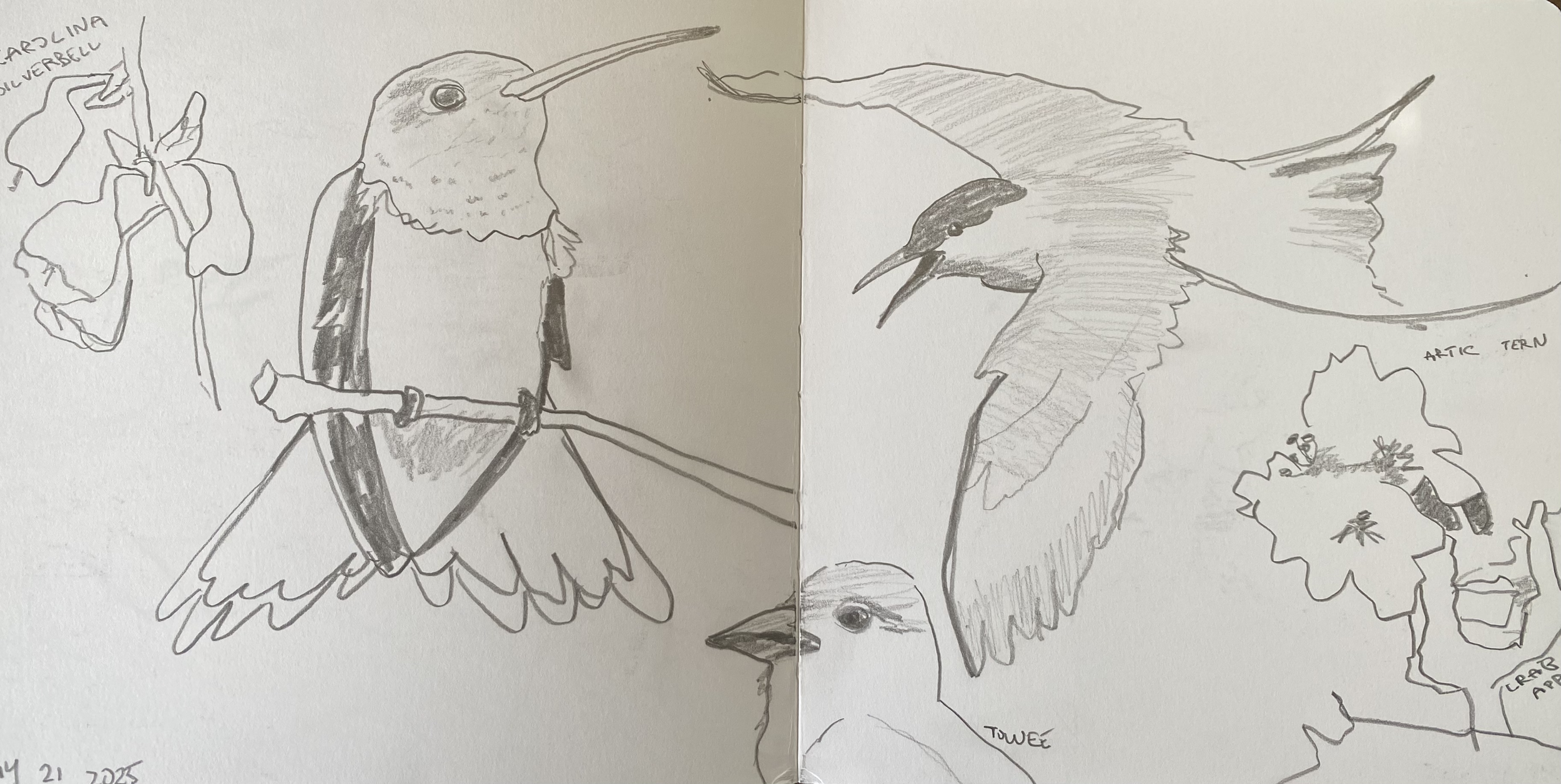 Simple line drawing practice while navigating move