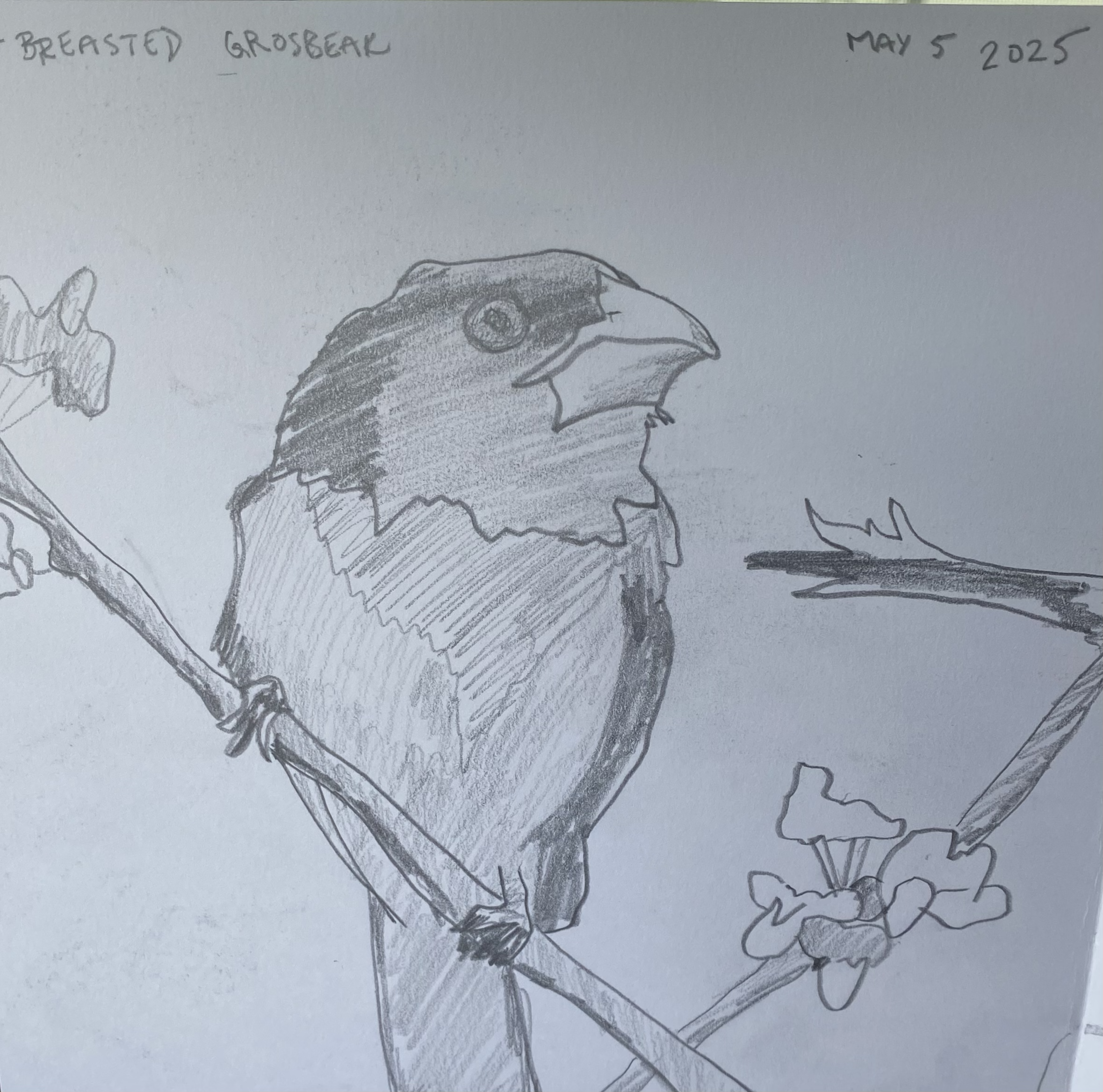 Simple line drawing practice while navigating move