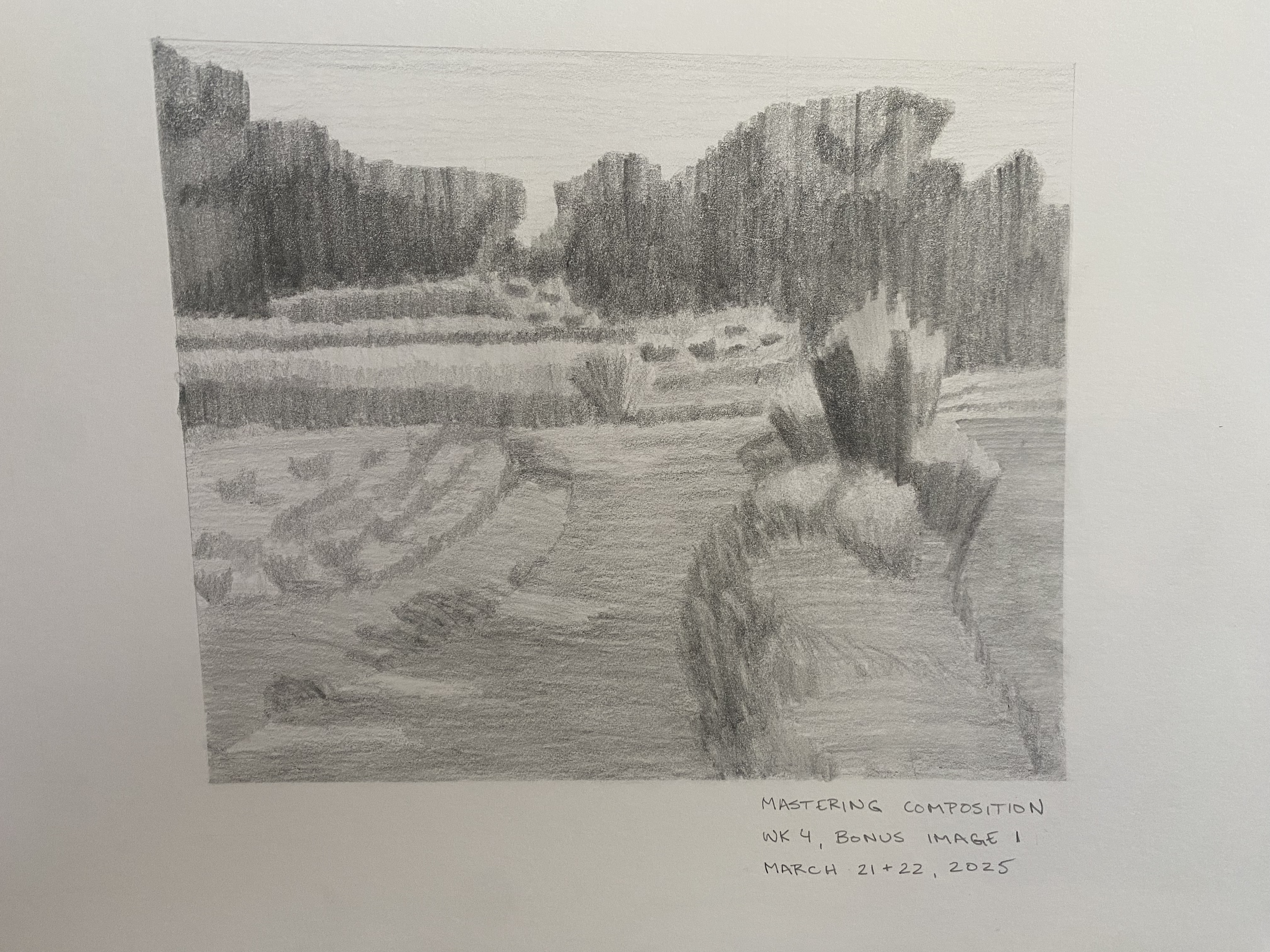 Wk 4_ Bonus Image 1.png