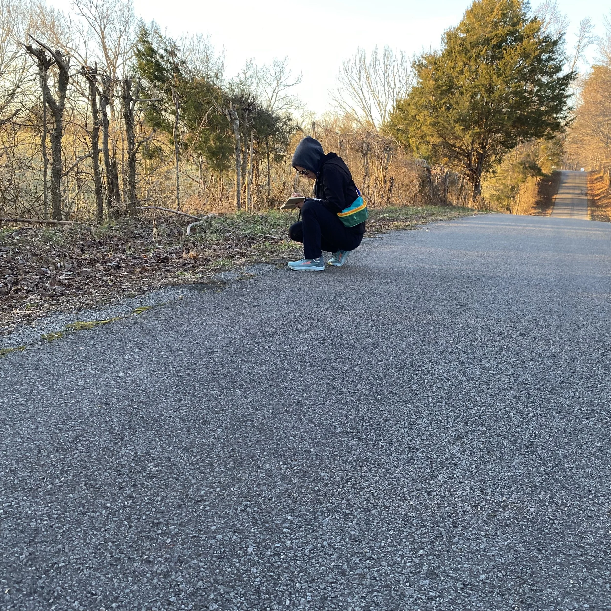 Art walk in Cookeville... chasing the cows :)