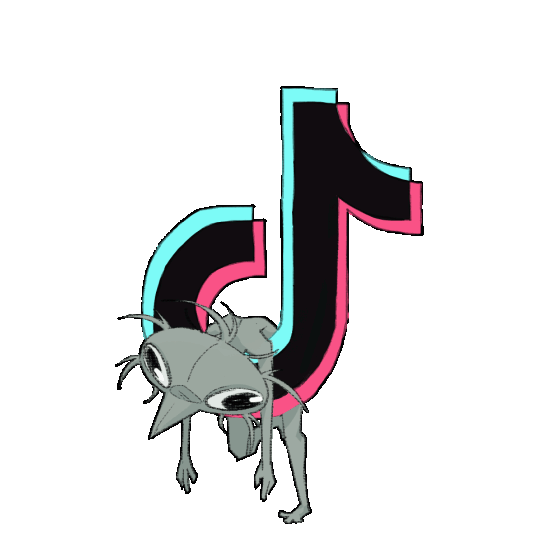 SomethingChilll Tiktok.gif