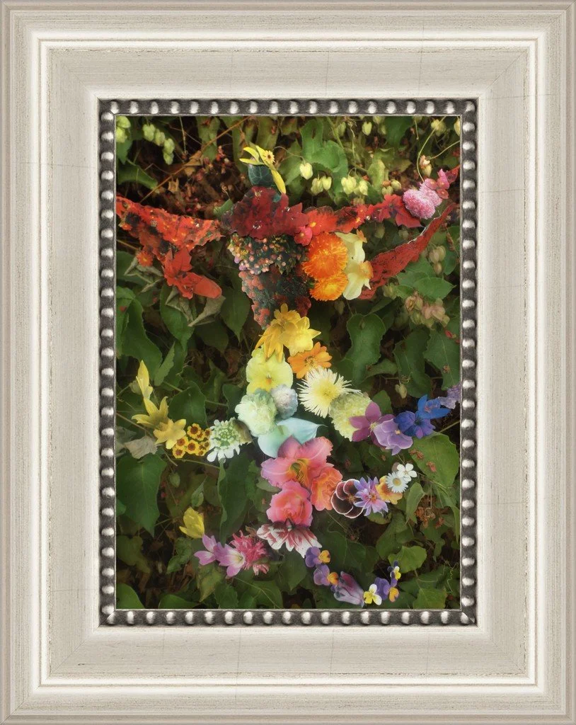 Bird of Blossoms, 5x7, Smooth Matte Hudson Ivory Frame
