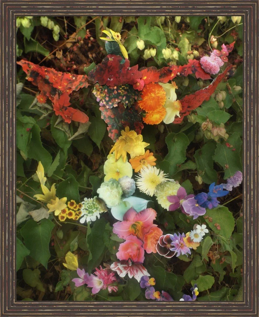 Bird of Blossoms, 16x20, Smooth Matte Patina Column Antique Brown Frame