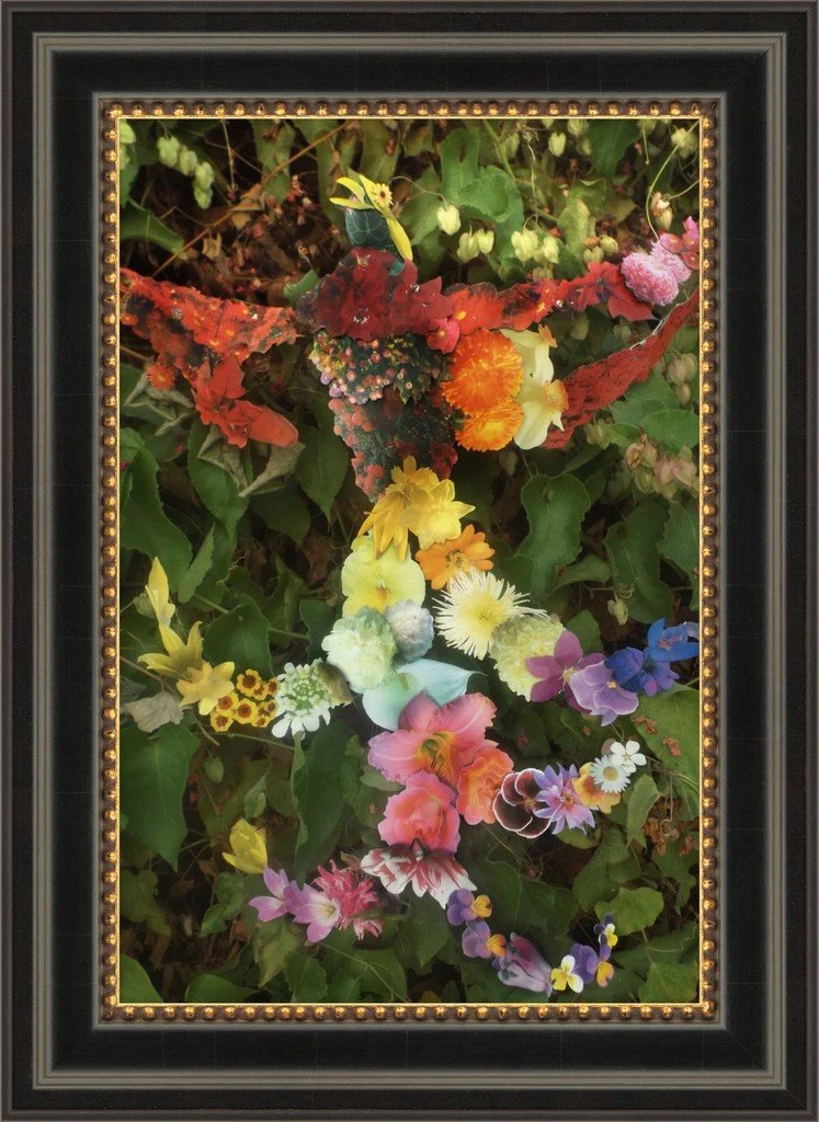 Bird of Blossoms, 8x12, Smooth Matte Hudson Black And Gold Frame