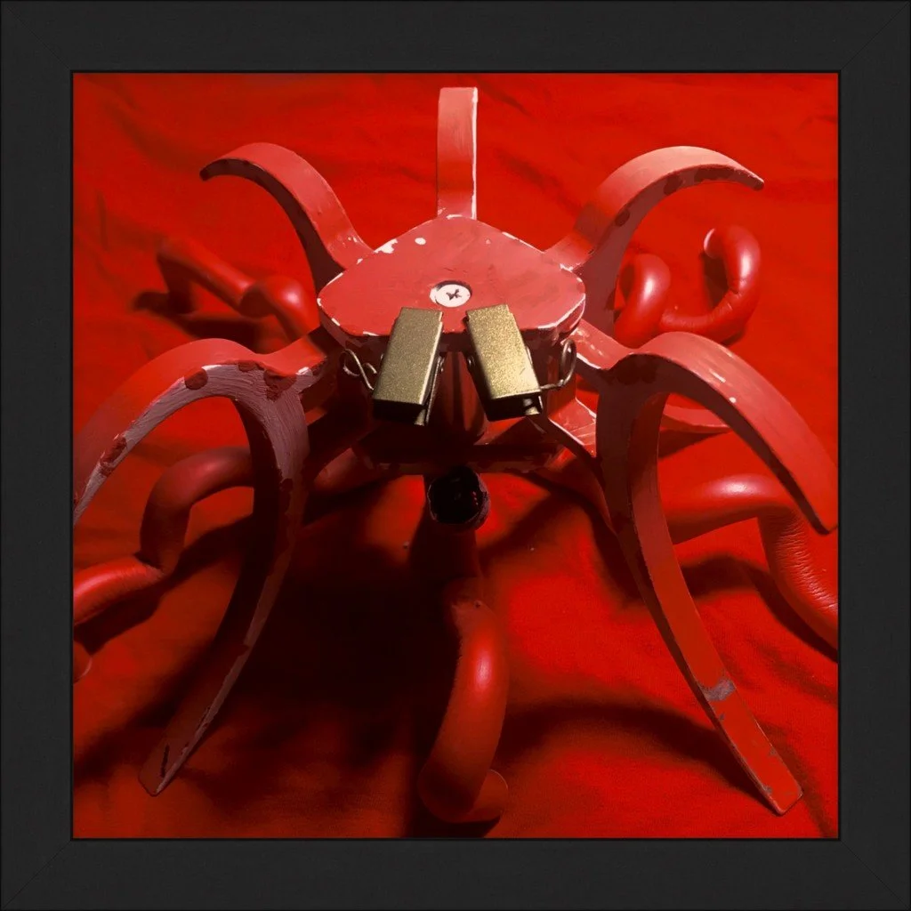 DecaPod, 8x8, Smooth Matte Gallery Fine Black Frame