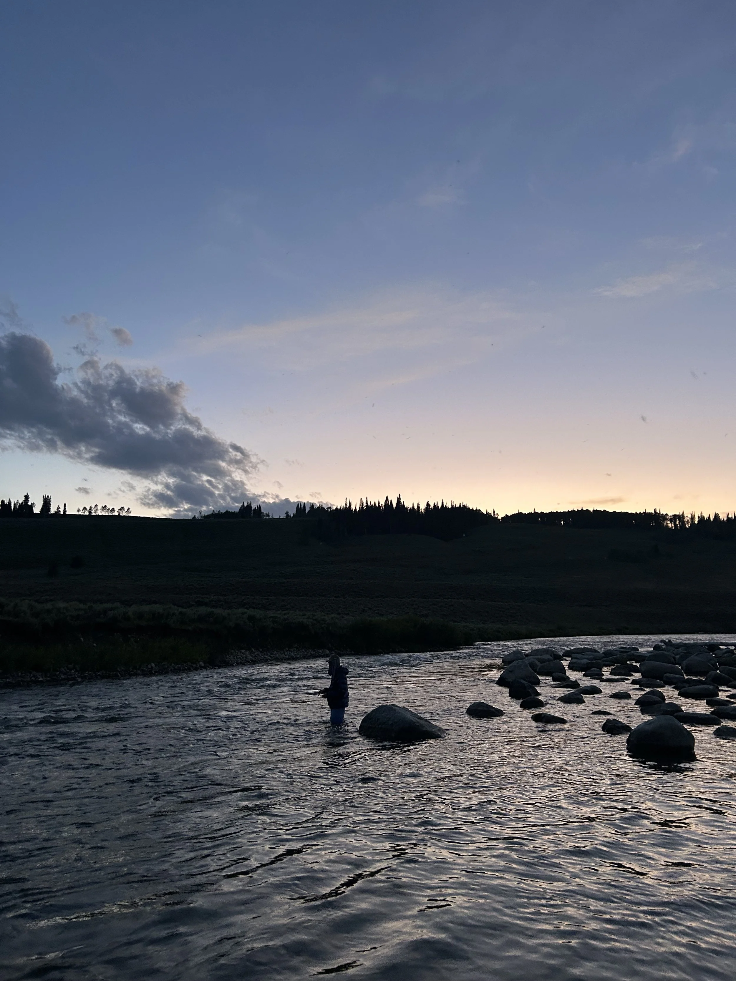 Best Flies for Fall Trout Fishing in the U.S.