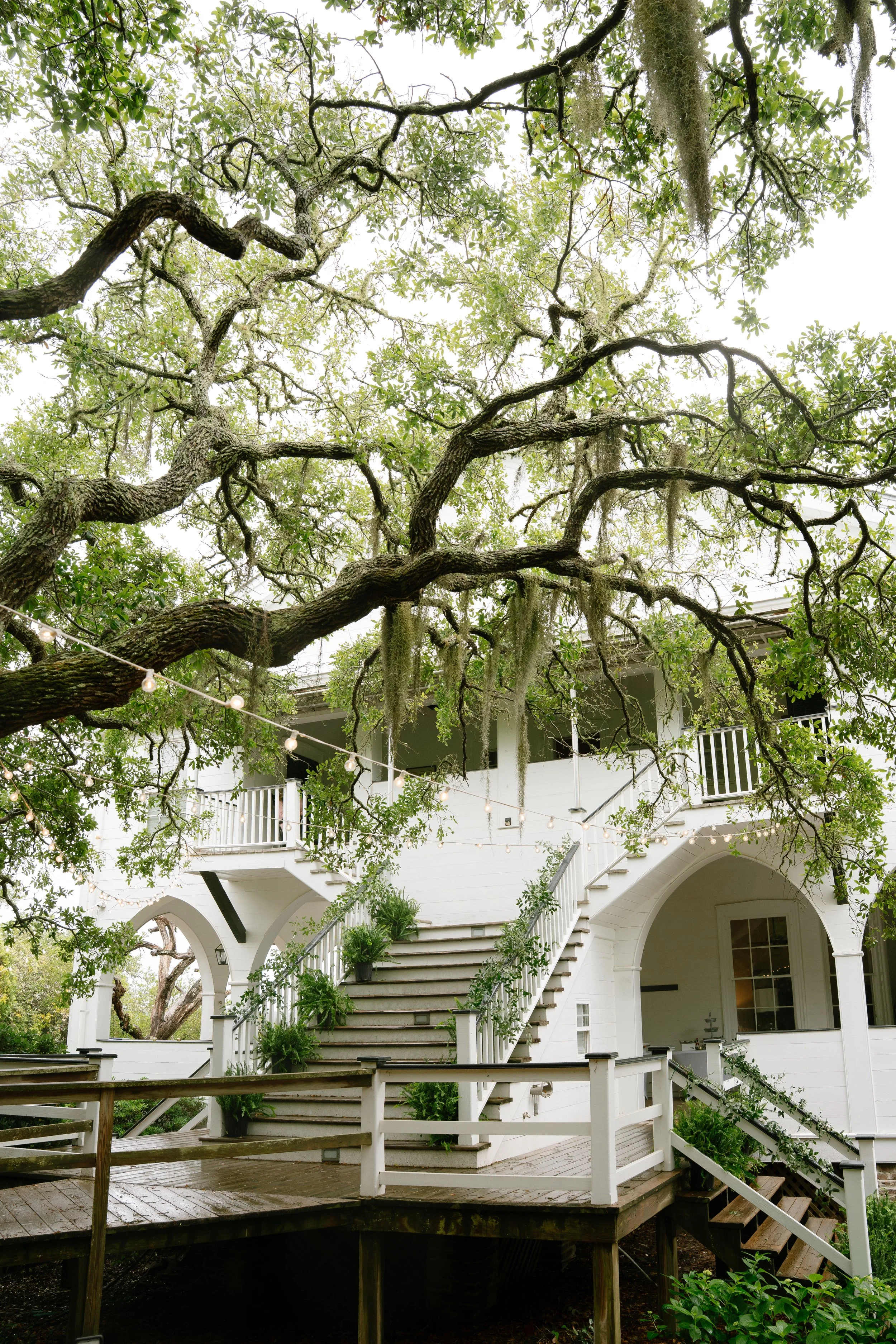 White Lowcountry mansion venue with sweeping oak trees and Spanish moss, Charleston SC wedding venue