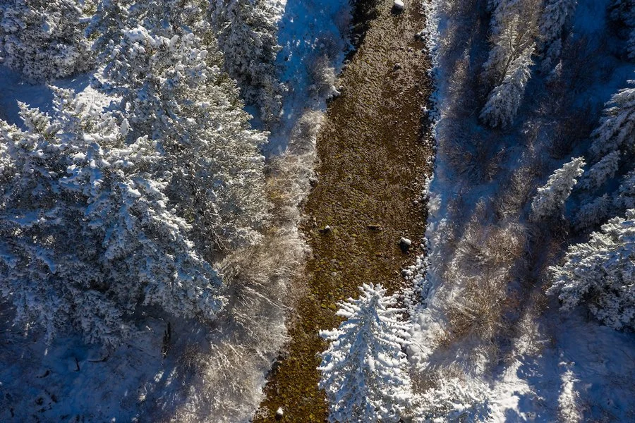 DancingBearRanch_DASH-76_overhead-river.jpg