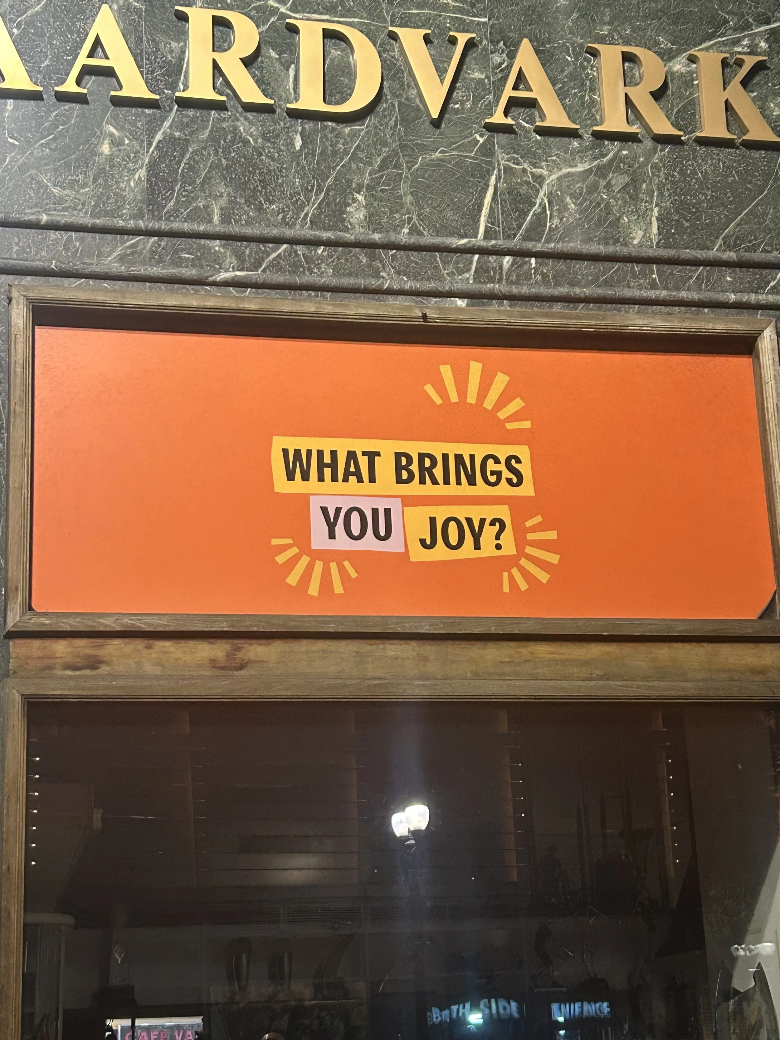 what brings you joy?.jpg