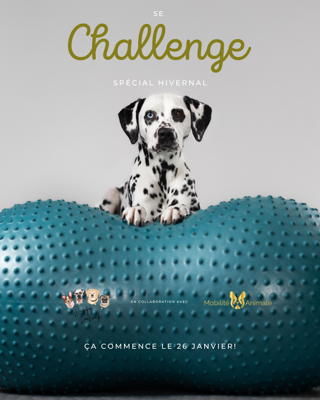 Challenge #5 – Spécial hivernal