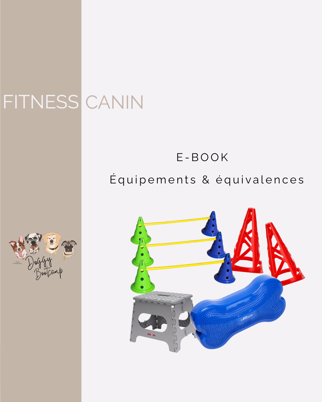 E-Book : Équipements & équivalences