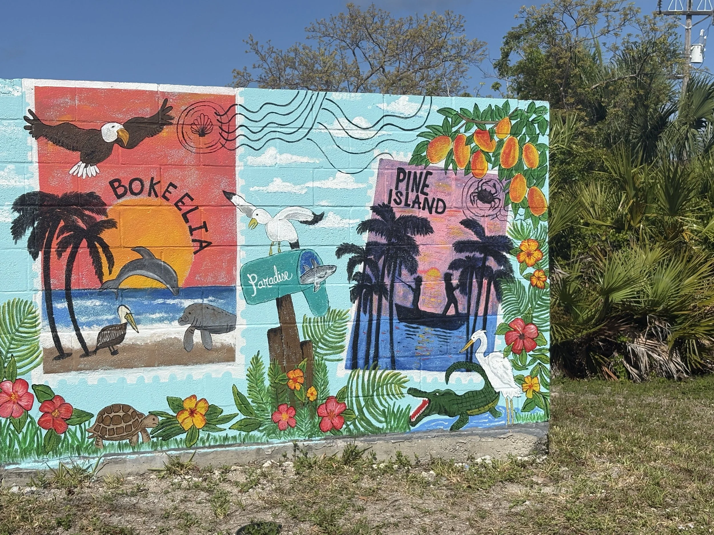 Building a Home on Pine Island: What You Need to Know Before You Build