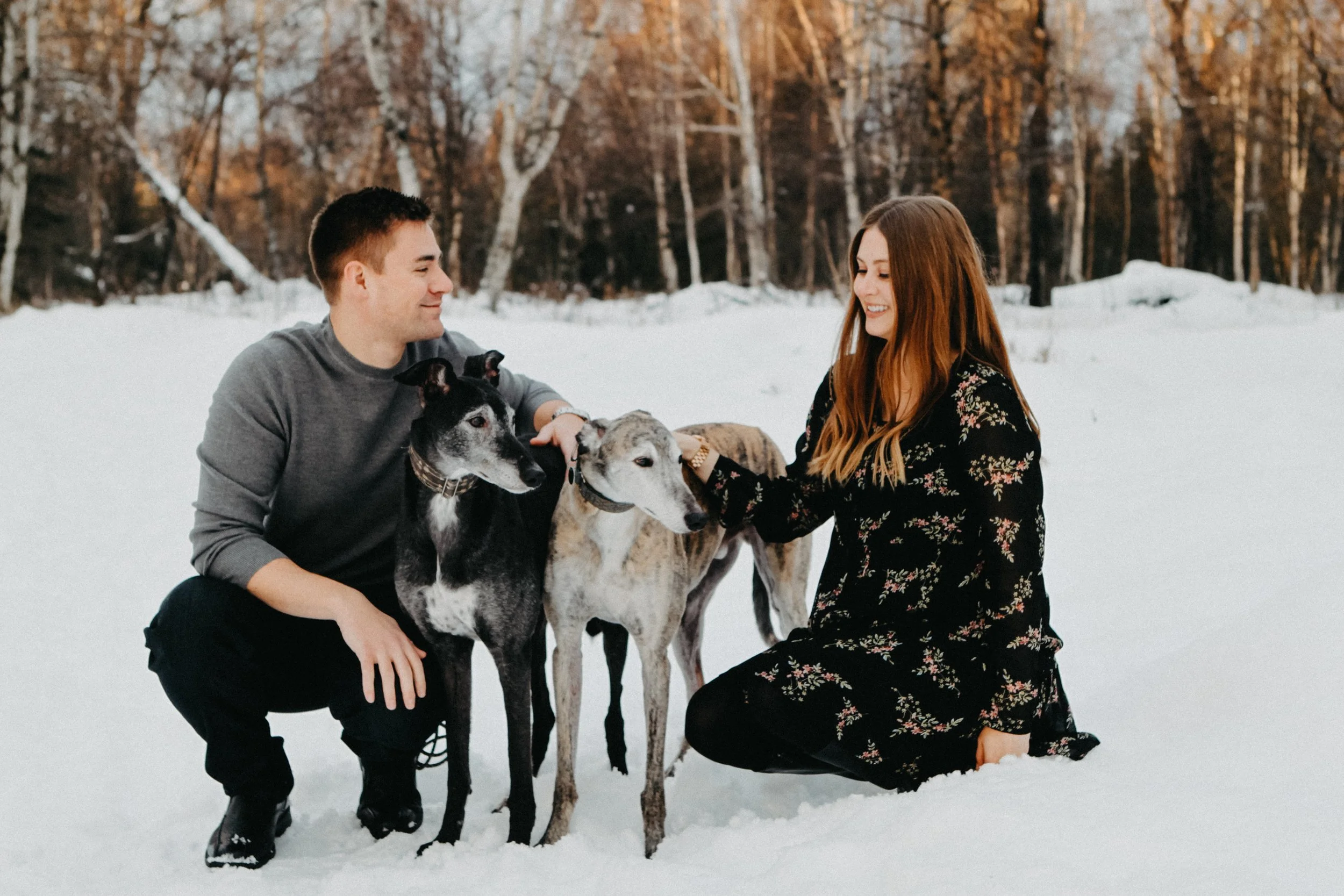 A married couple poses for a portrait in snow with their two dogs.