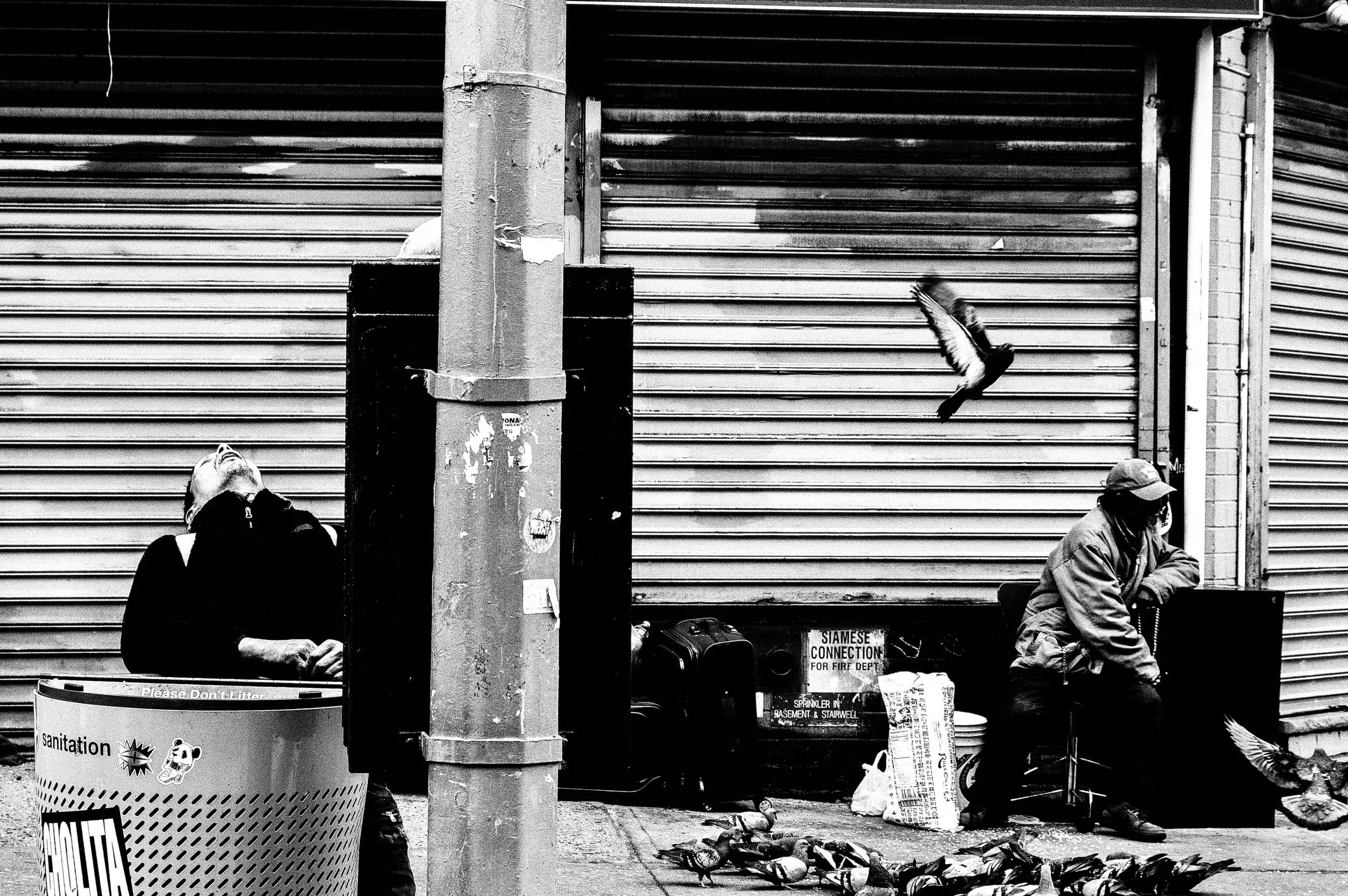 portfolio 10-29-25 (16)-2.jpeg