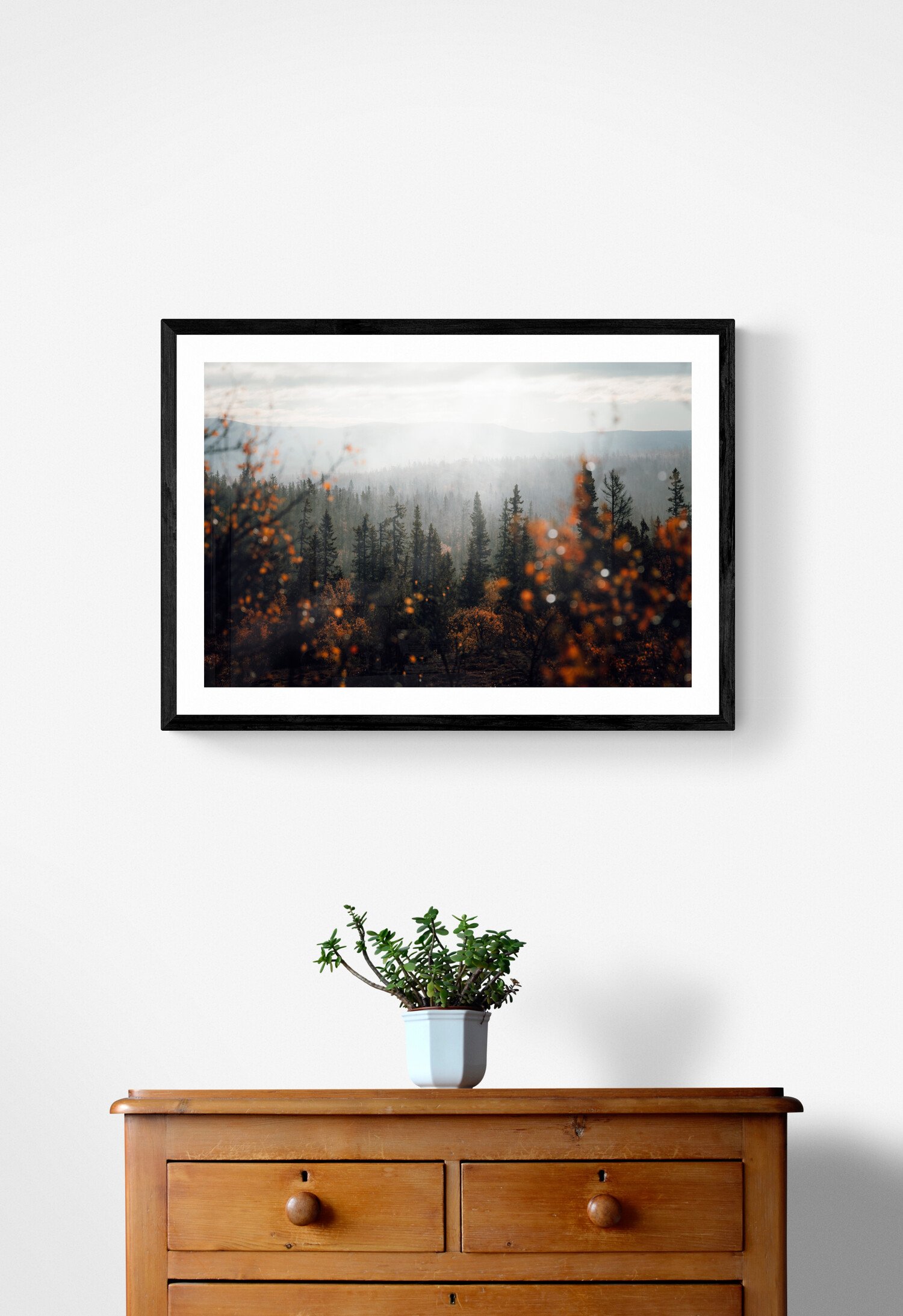 Höst skog i Dalarna fotokonst