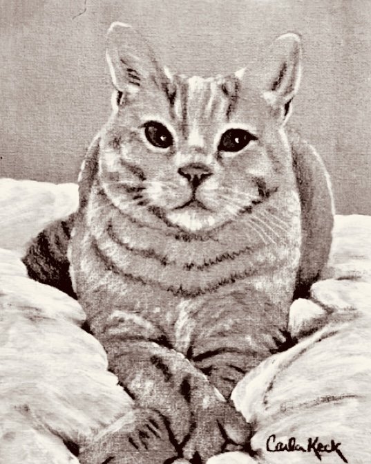image45.jpeg
